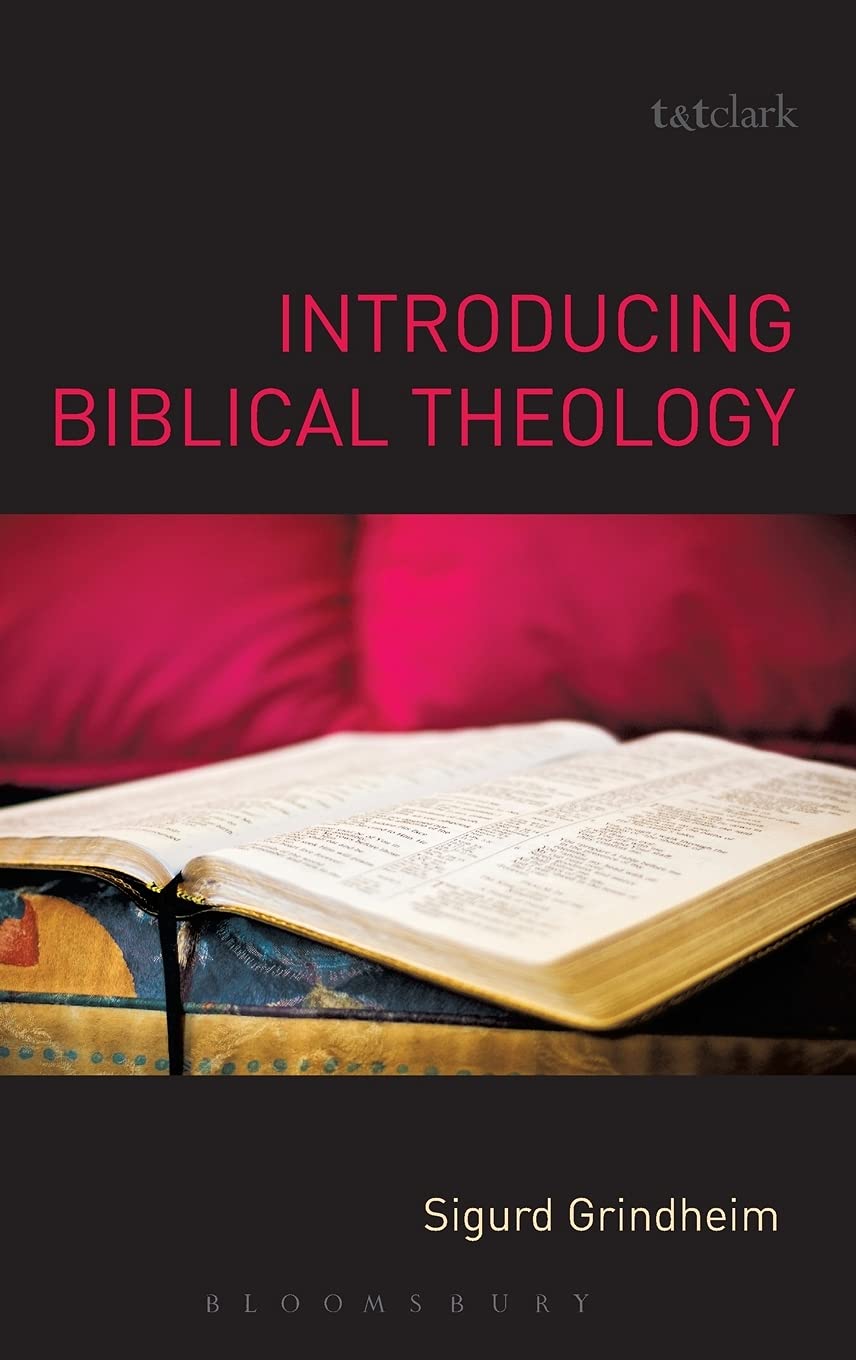 Product Image: Introducing Biblical Theology