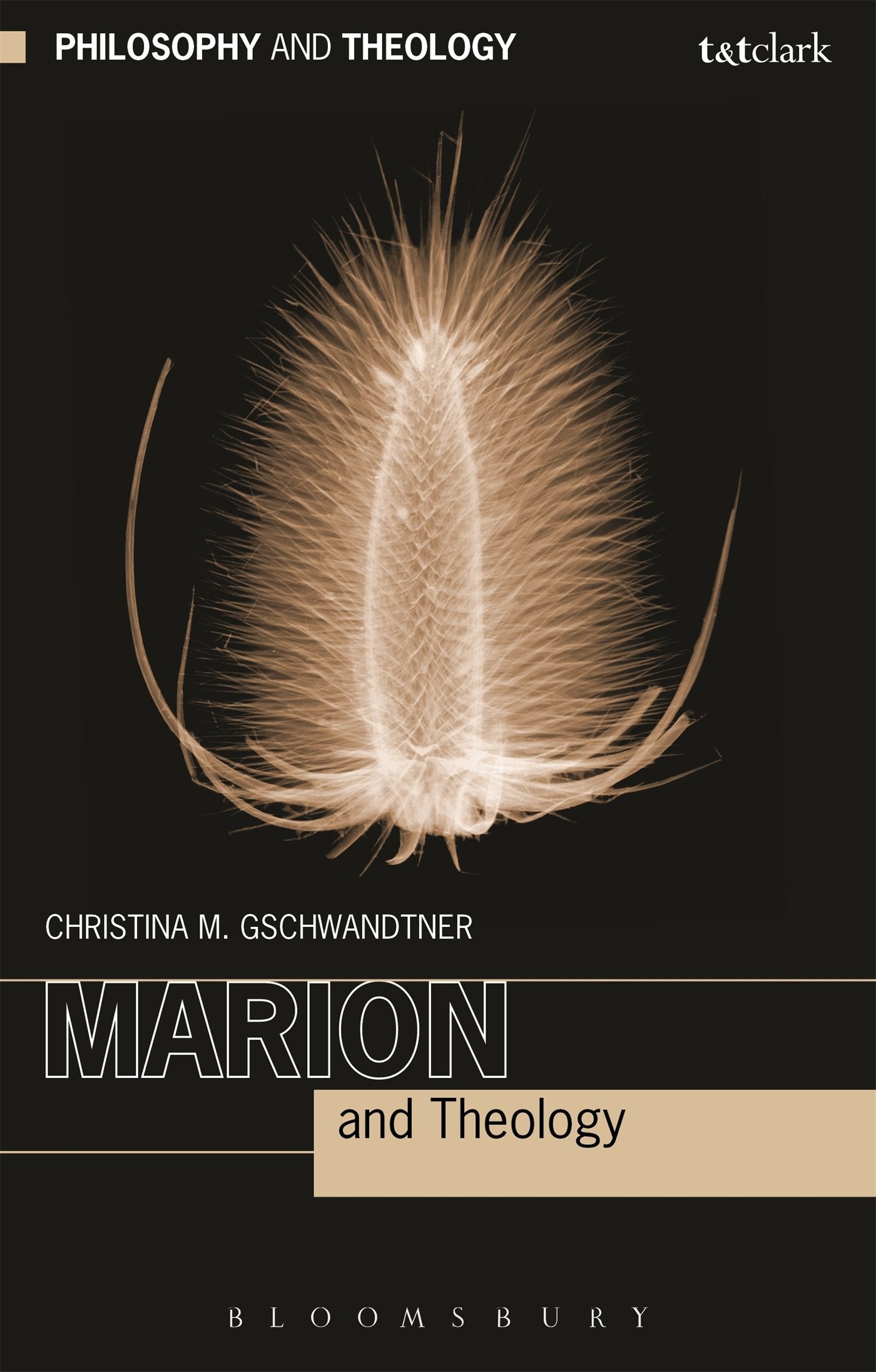 Marion and Theology Philosophy