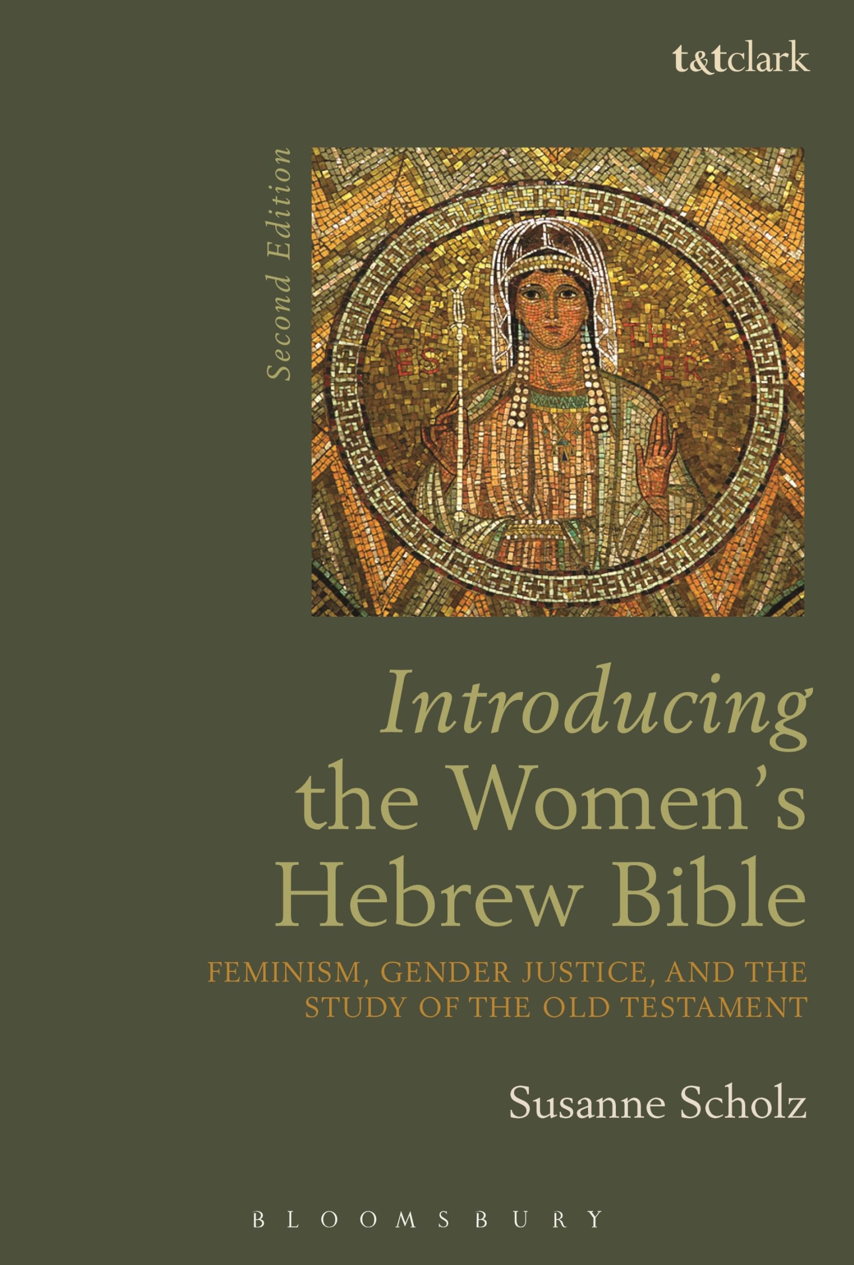 Introducing the Women's Hebrew Bible Books