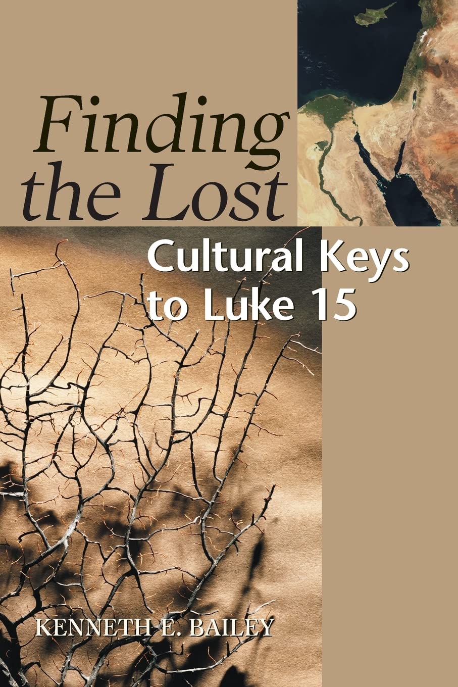 Finding the Lost: Culture Keys to Luke 15 (Concordia Scholarship Today) Religion & Esotericism