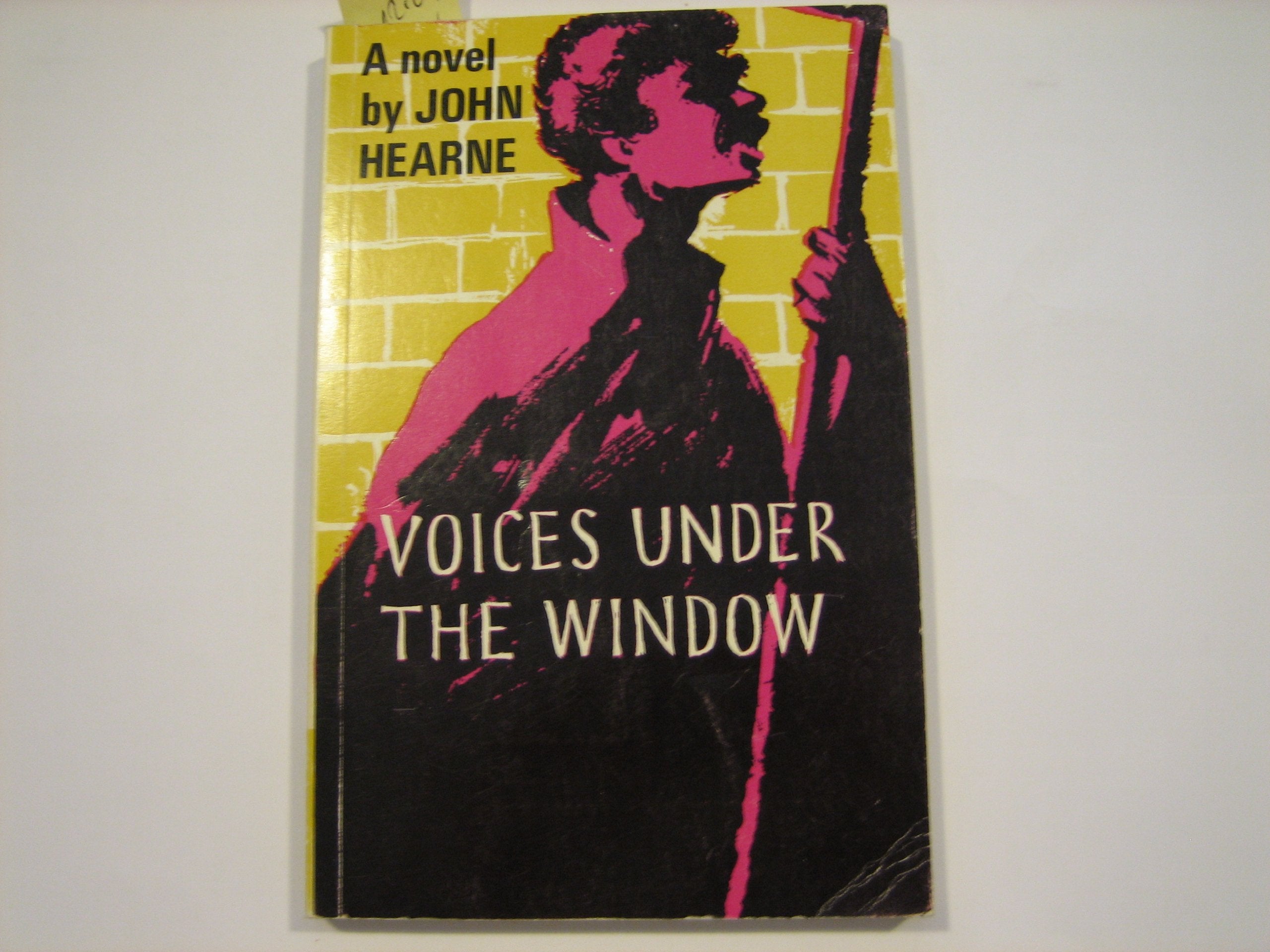 Voices Under the Window Contemporary literature Books