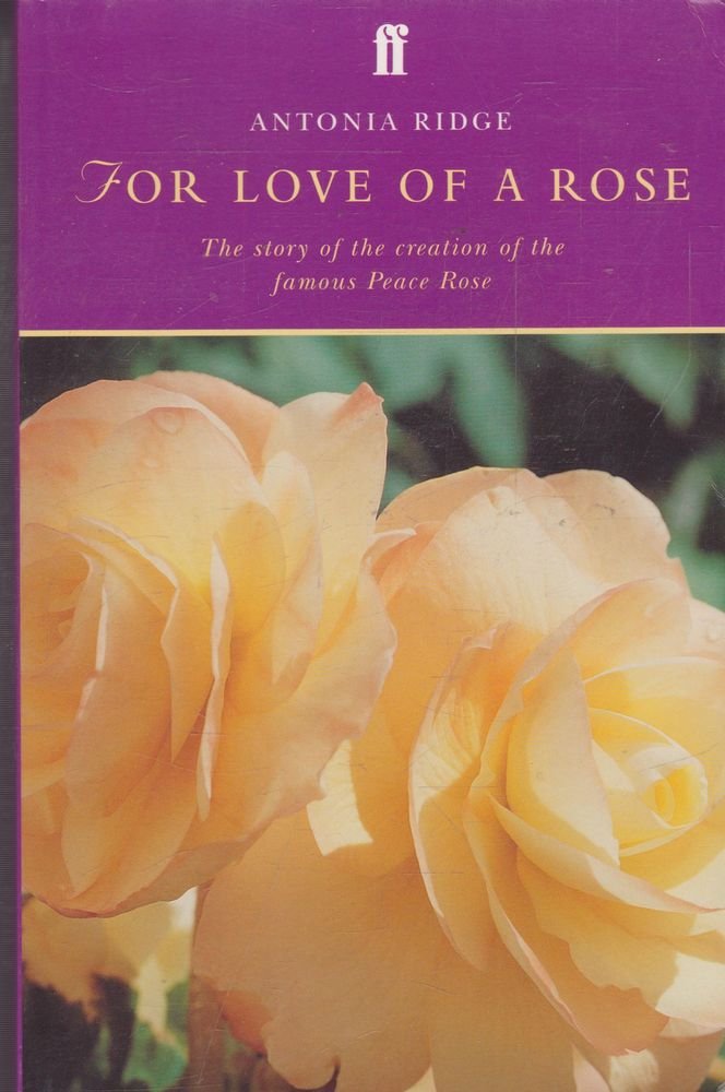 For Love of a Rose Garden & Plants