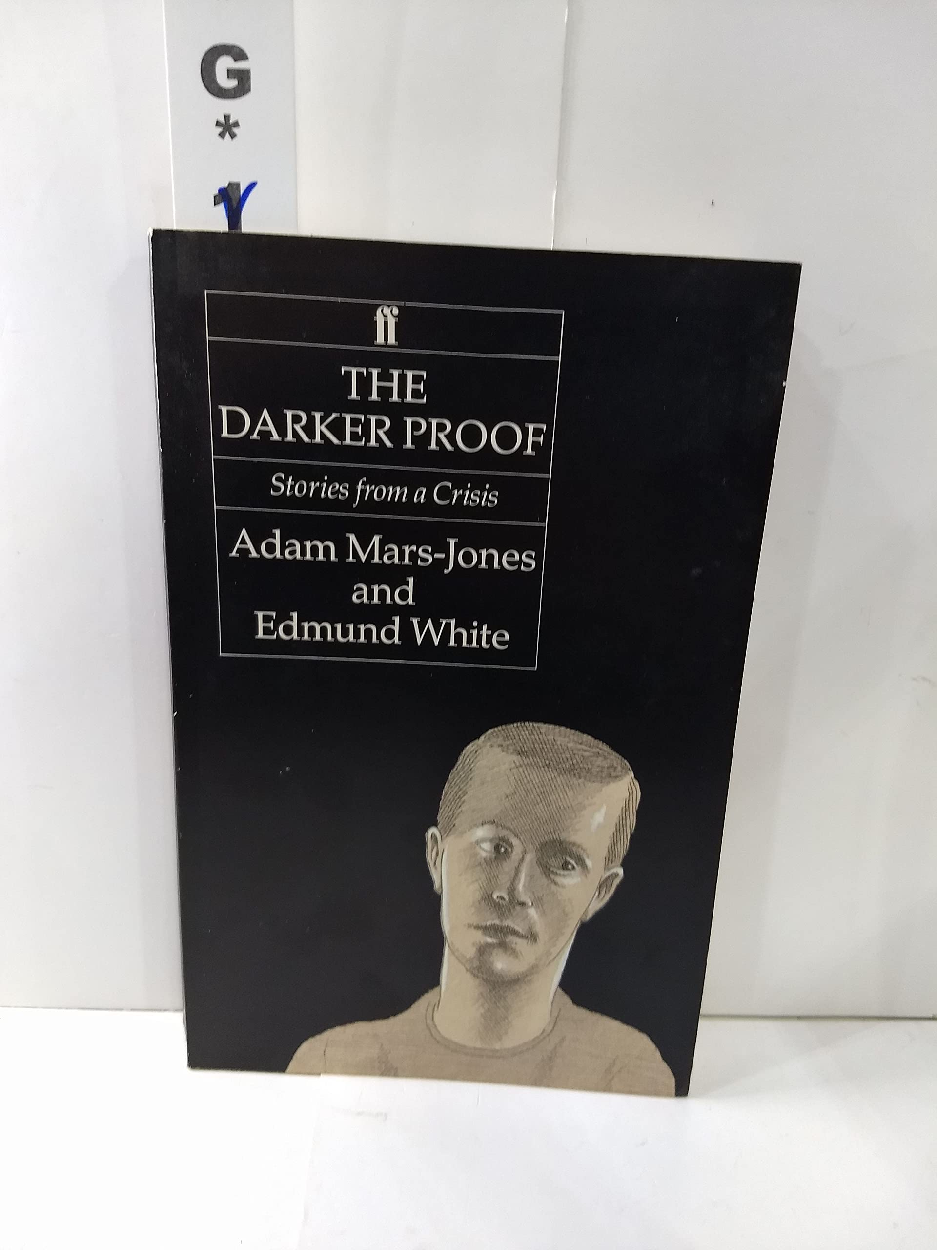 The Darker Proof: Stories from a Crisis Contemporary literature