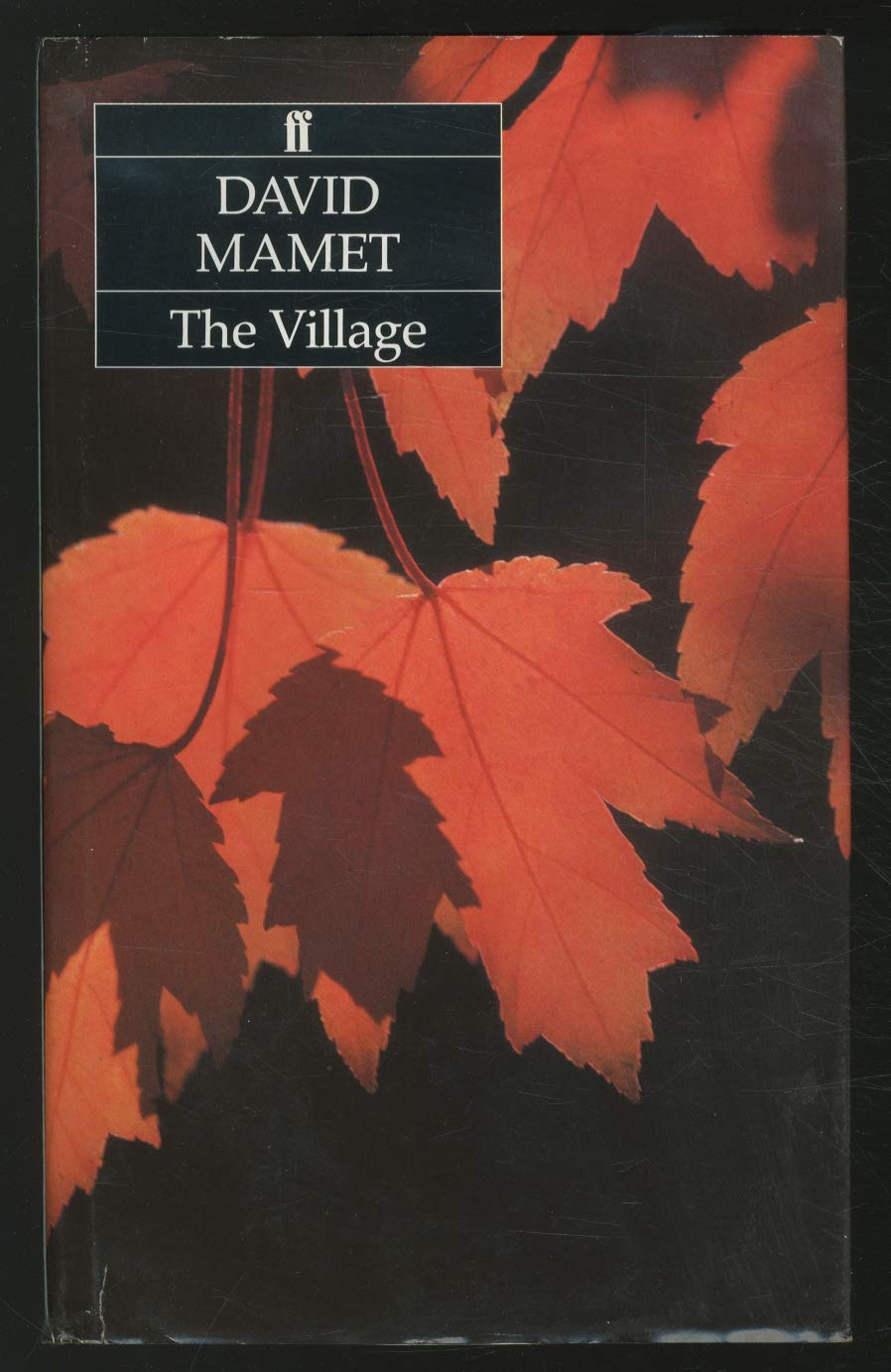 The Village Contemporary literature Books