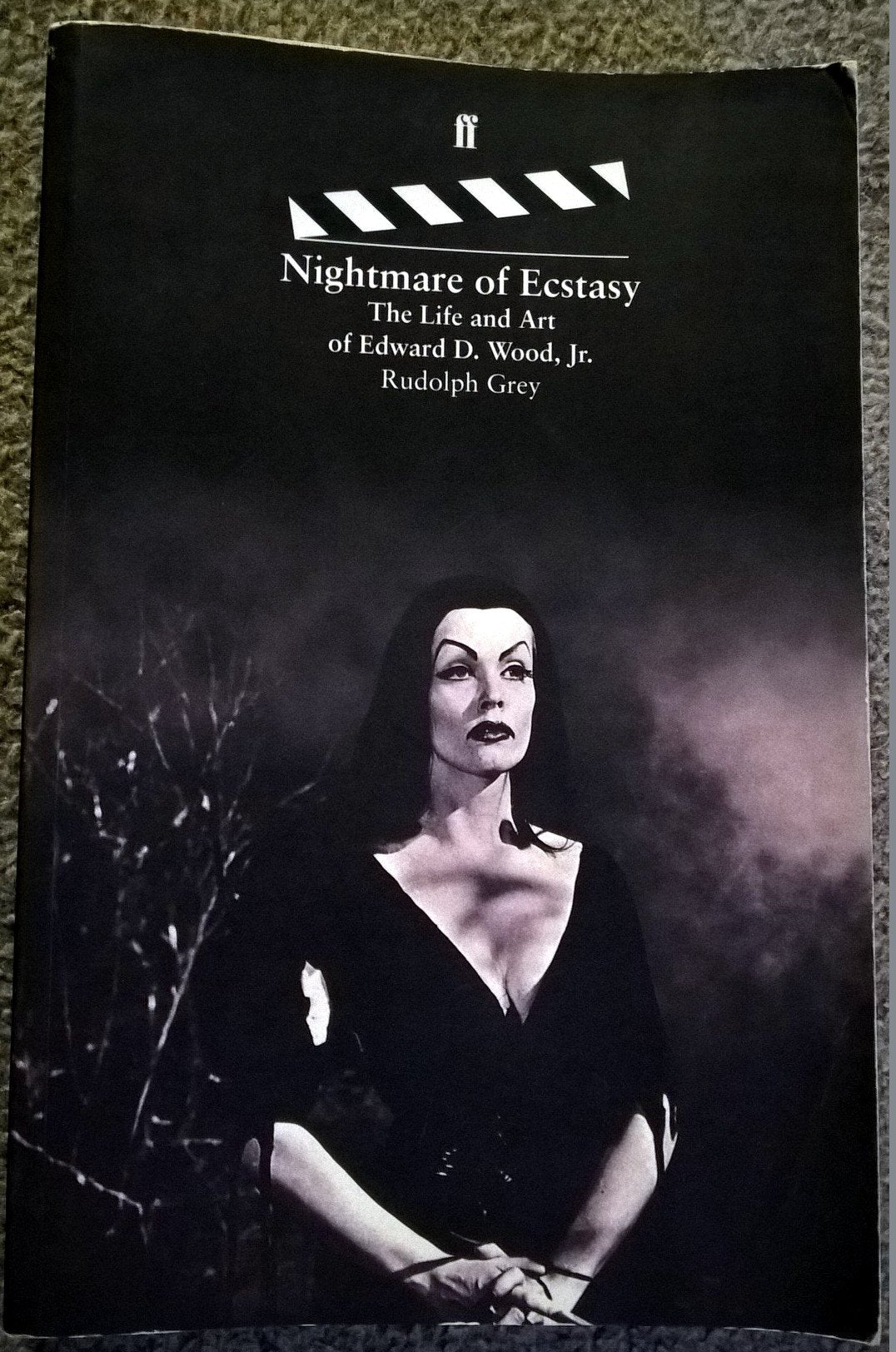 Nightmare of Ecstasy: Life and Art of Edward D. Wood Art & Literature