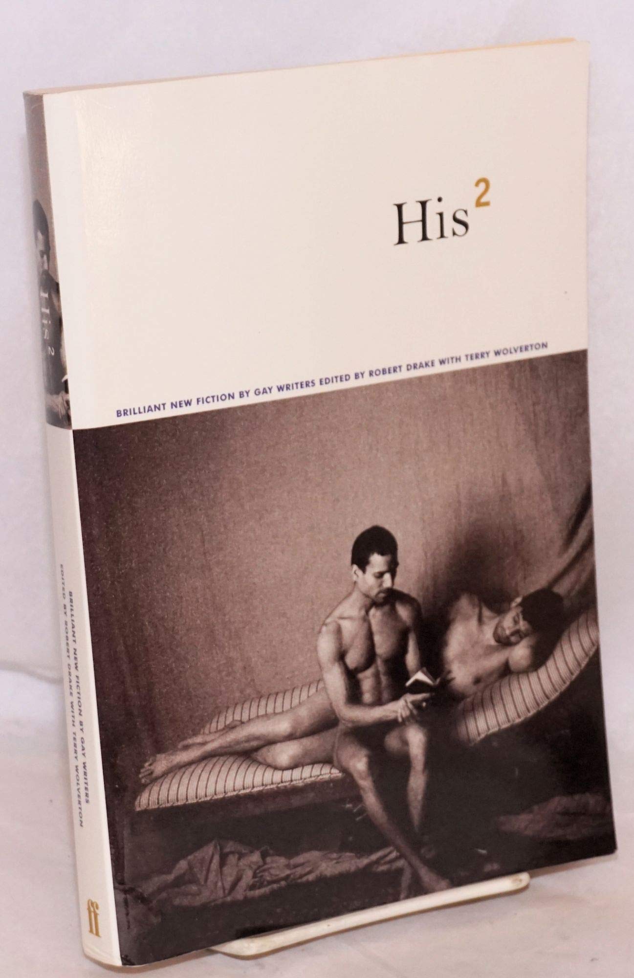 His 2: Brilliant New Fiction by Gay Writers book