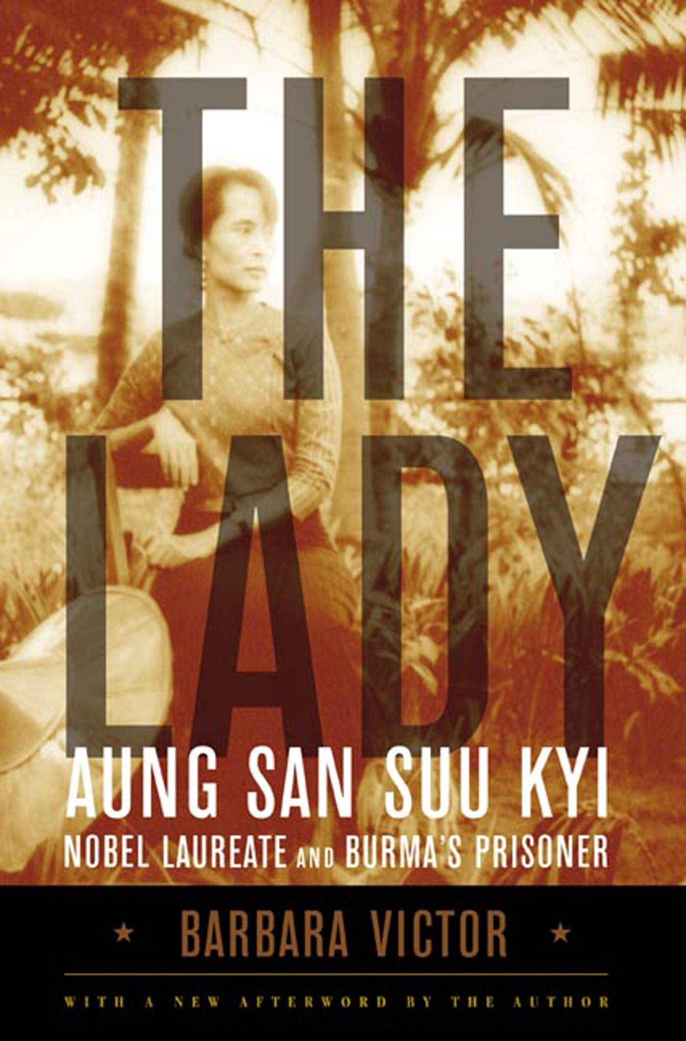 The Lady: Aung San Suu Kyi: Nobel Laureate and Burma's Prisoner Art & Literature