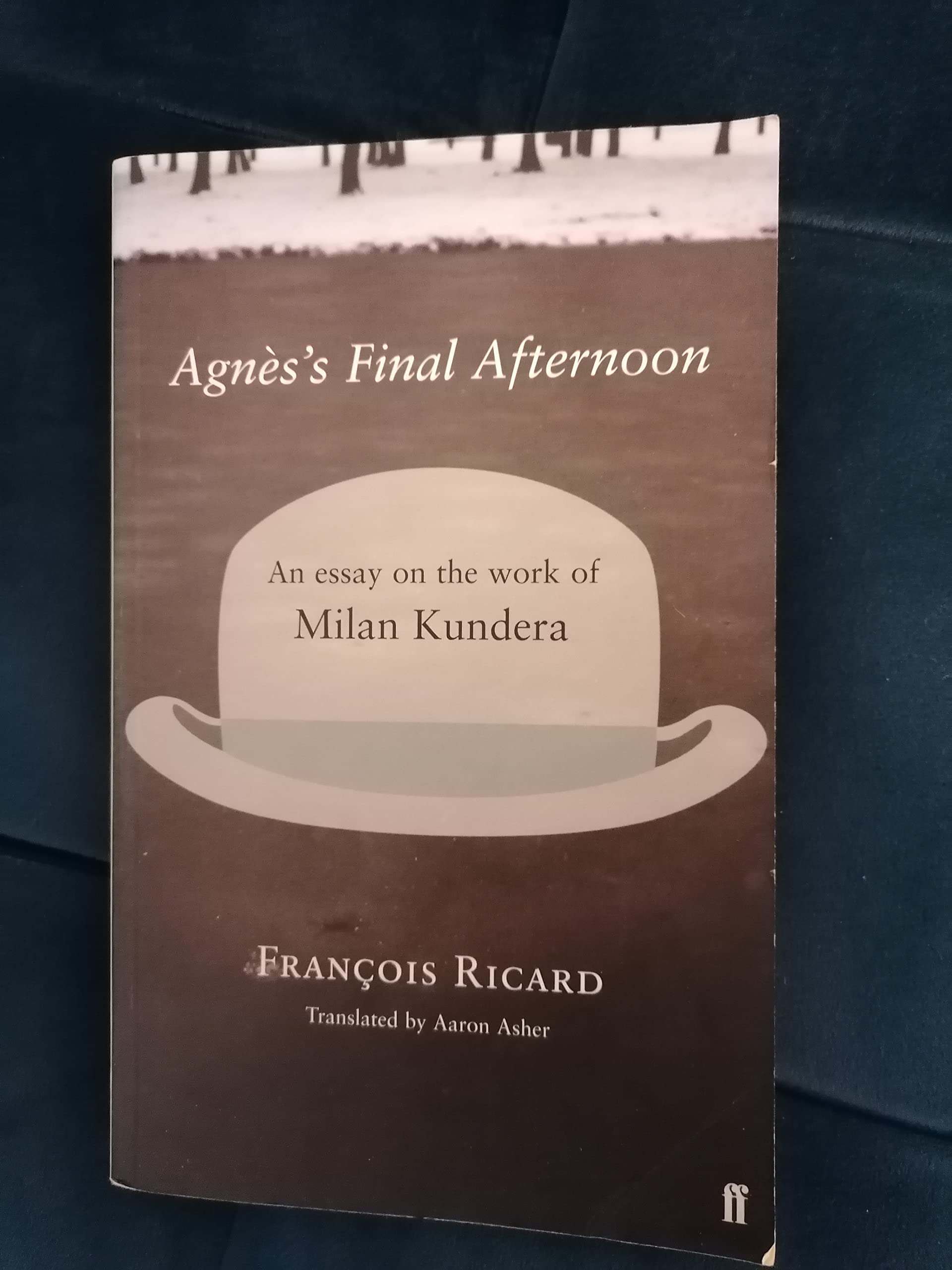 Ricard, F: Agnes's Final Afternoon Contemporary literature