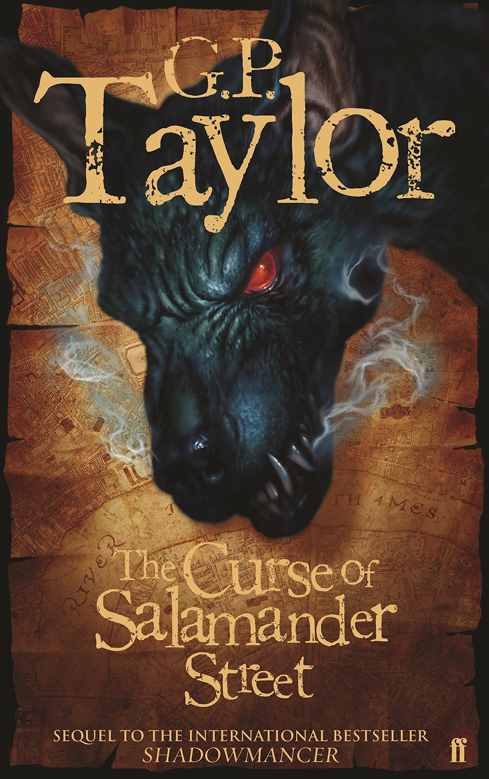 The Curse of Salamander Street book