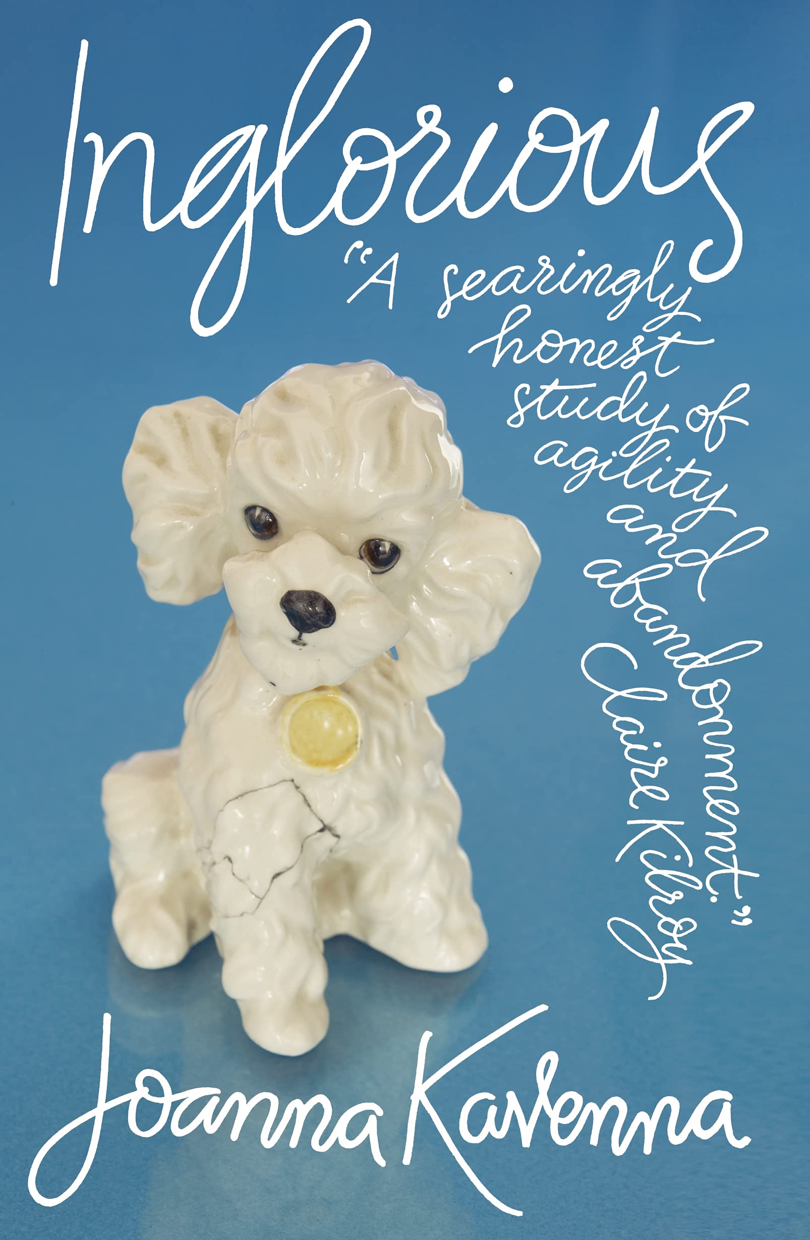 Inglorious: Winner of the Orange Award for New Writers 2008 Contemporary literature