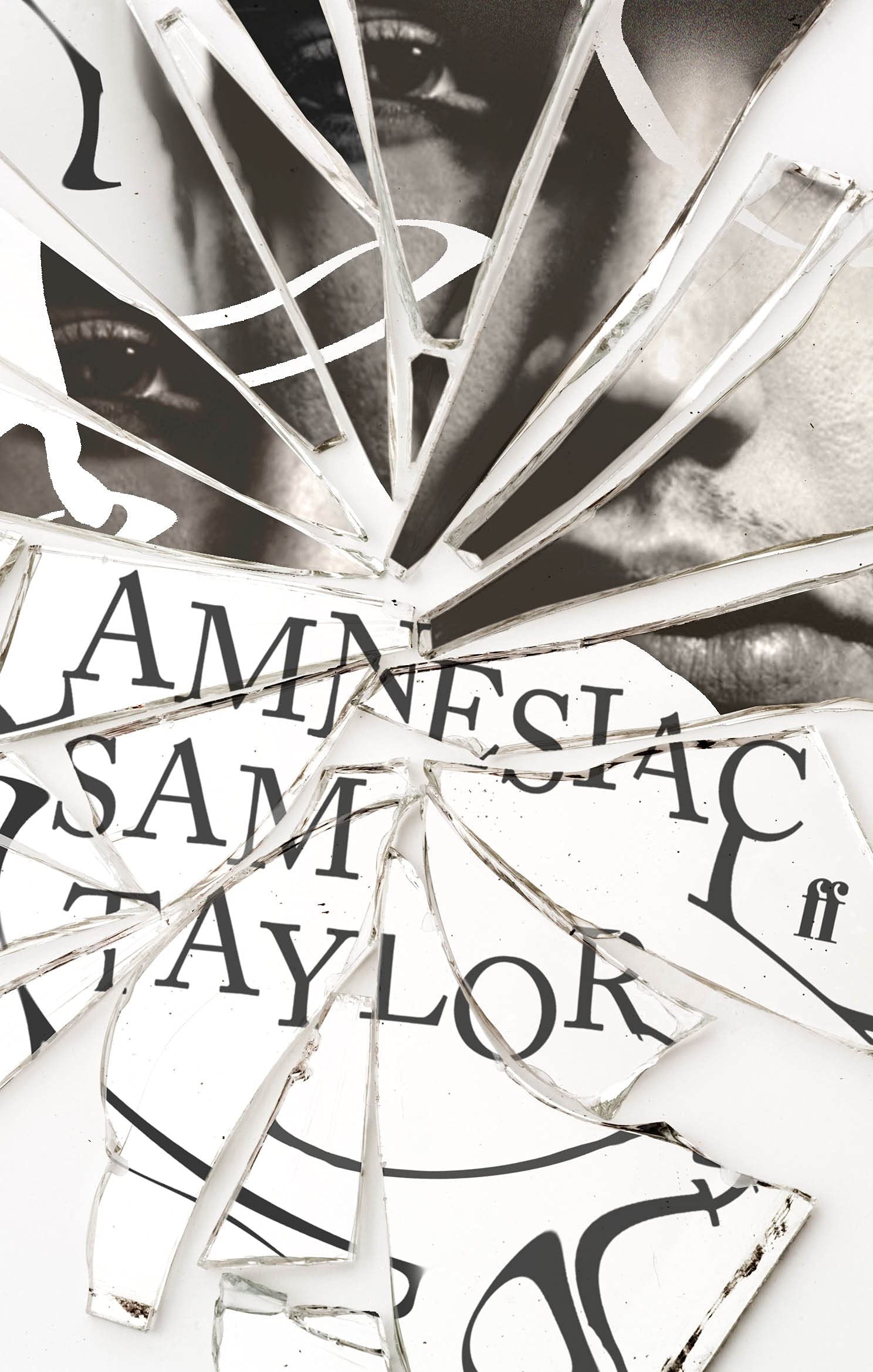 The Amnesiac Contemporary literature Books