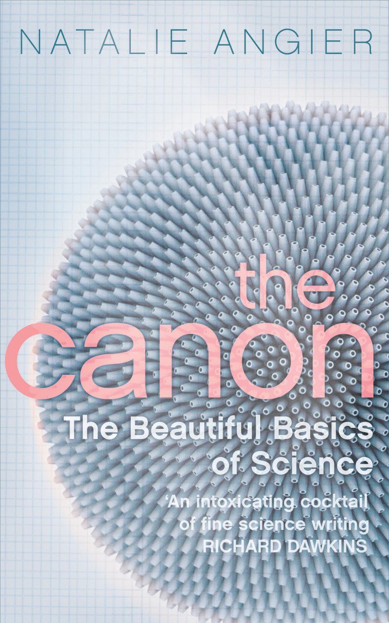 The Canon: The Beautiful Basics of Science Business & Technology