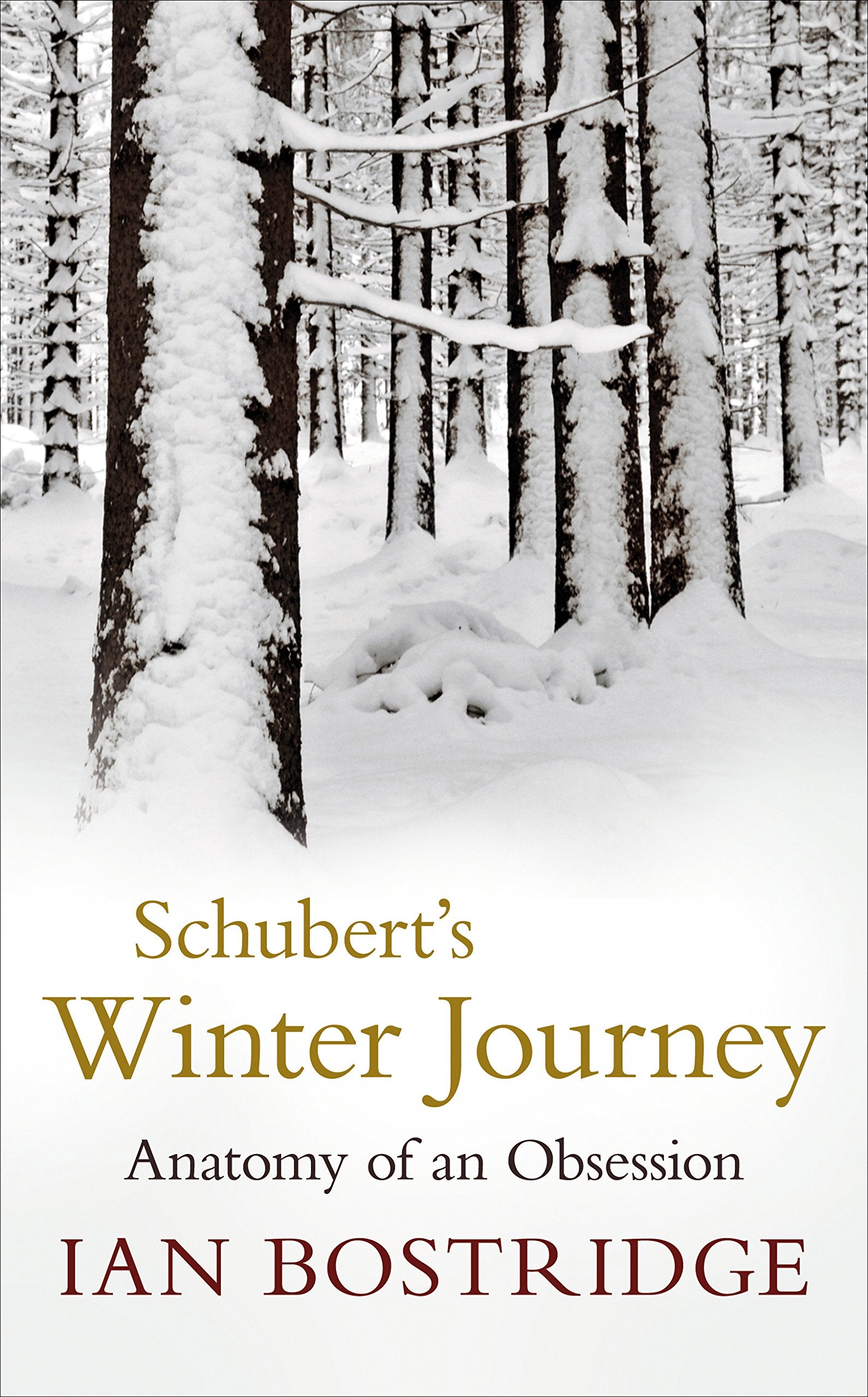 Schubert's Winter Journey: Anatomy of an Obsession Art & Literature