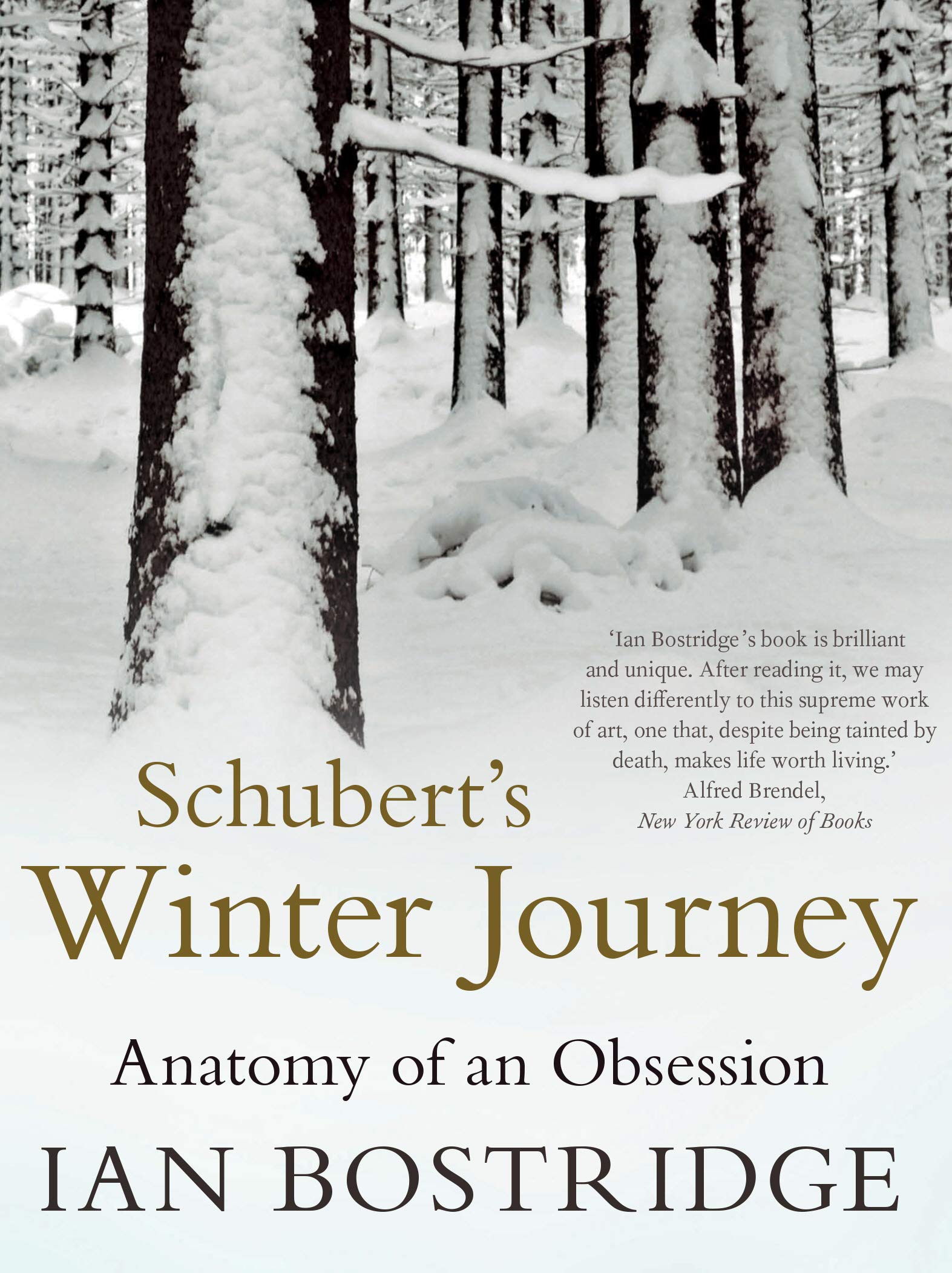 Schubert's Winter Journey: Anatomy of an Obsession Art & Literature