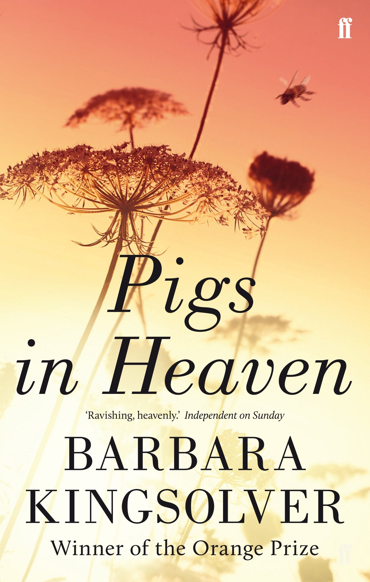 Pigs in Heaven Contemporary literature Books