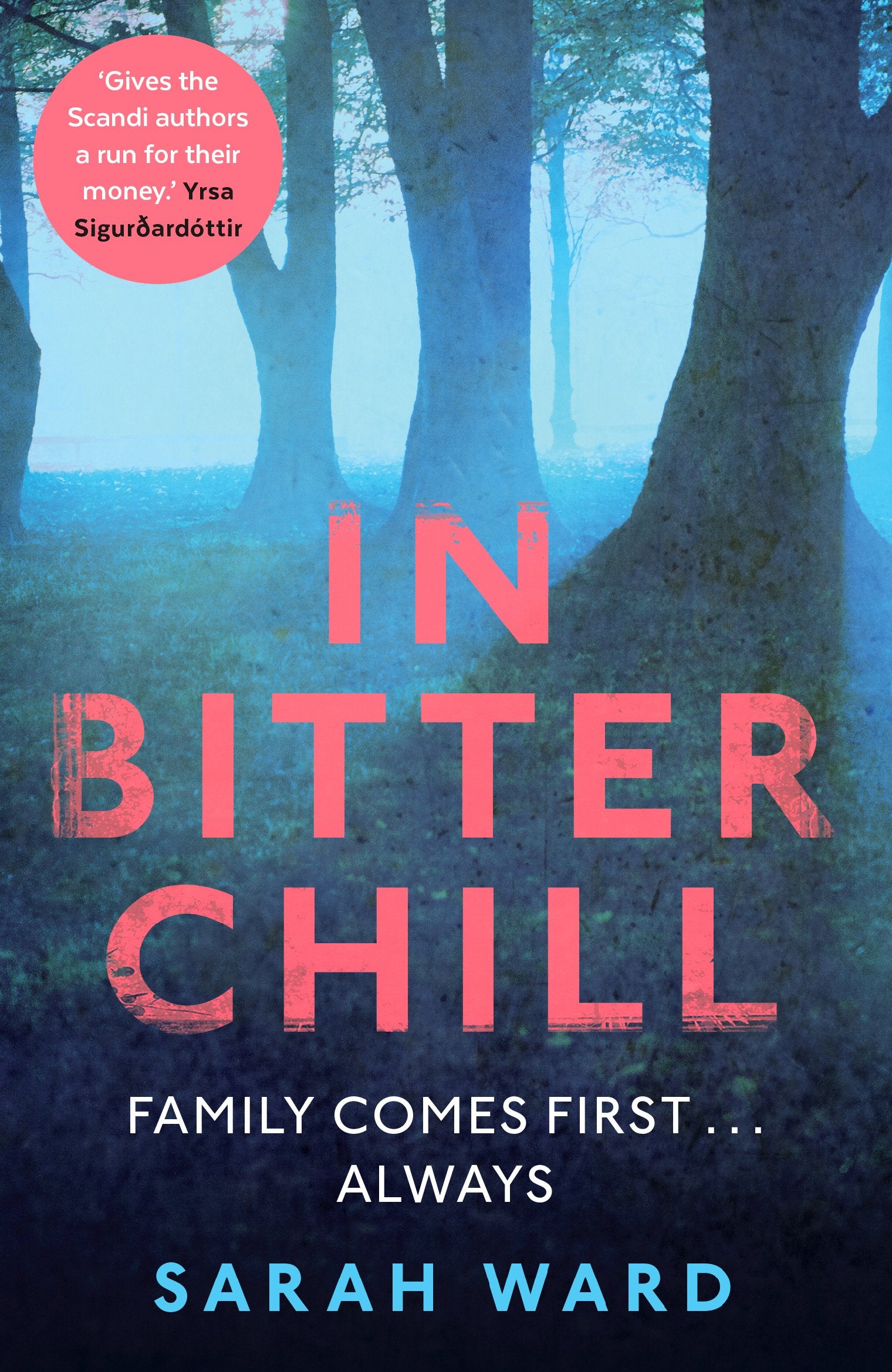 In Bitter Chill Contemporary literature Books