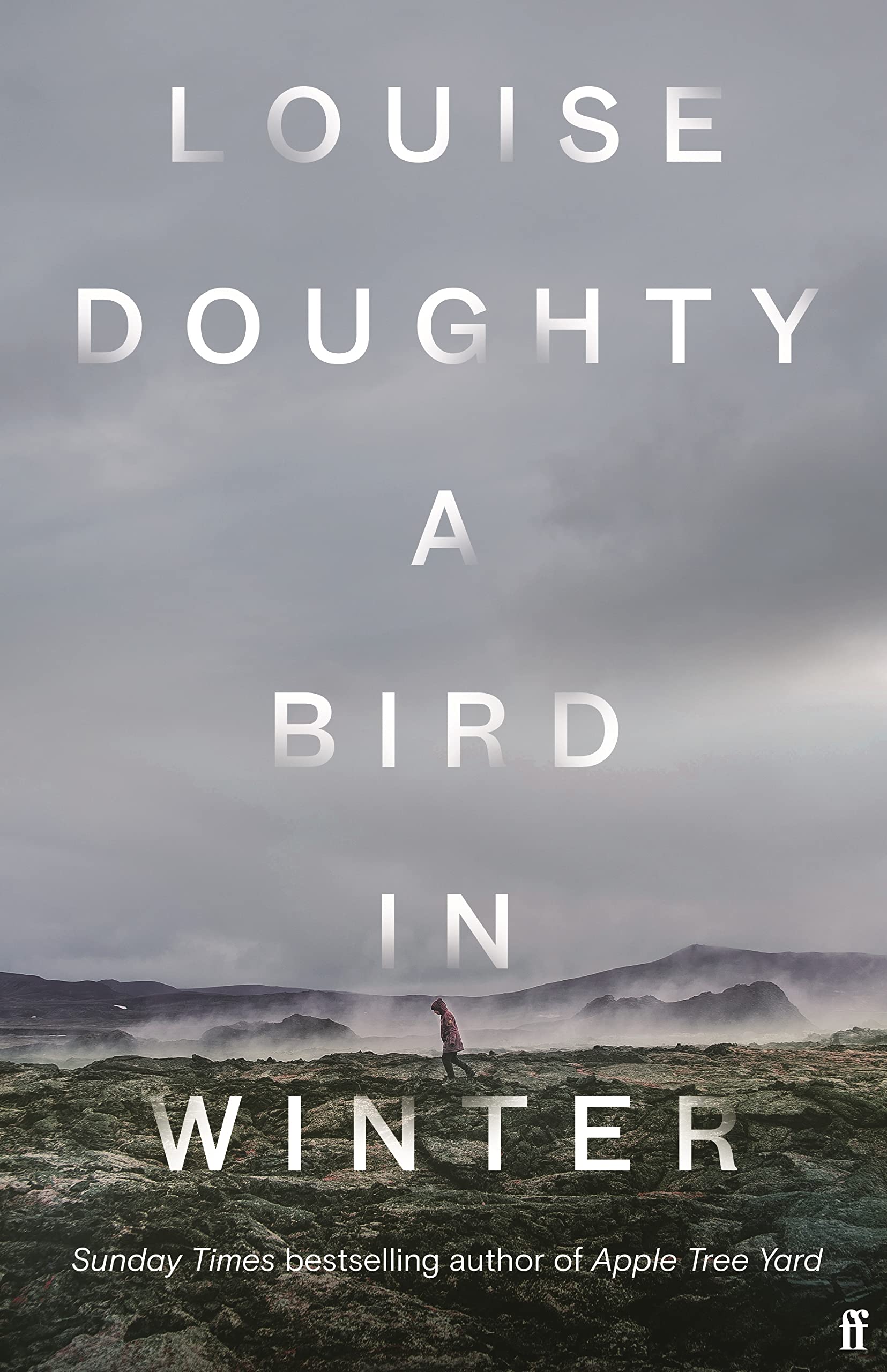 A Bird in Winter: 'Nail-bitingly tense and compelling' Paula Hawkins Contemporary literature
