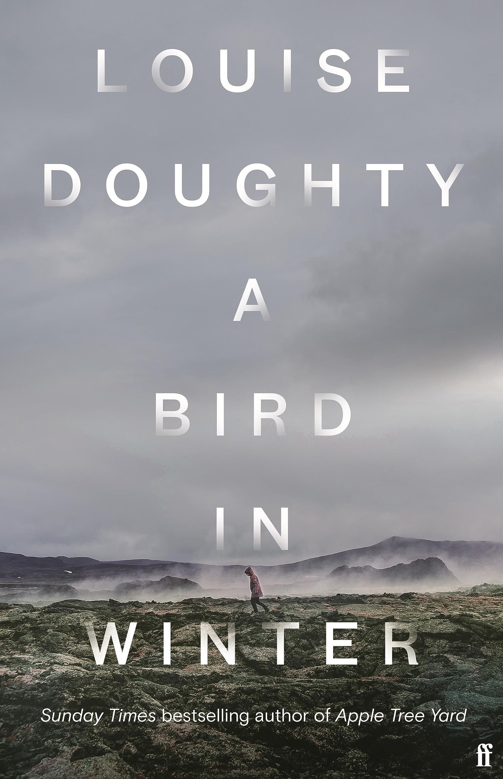 A Bird in Winter: Louise Doughty Contemporary literature