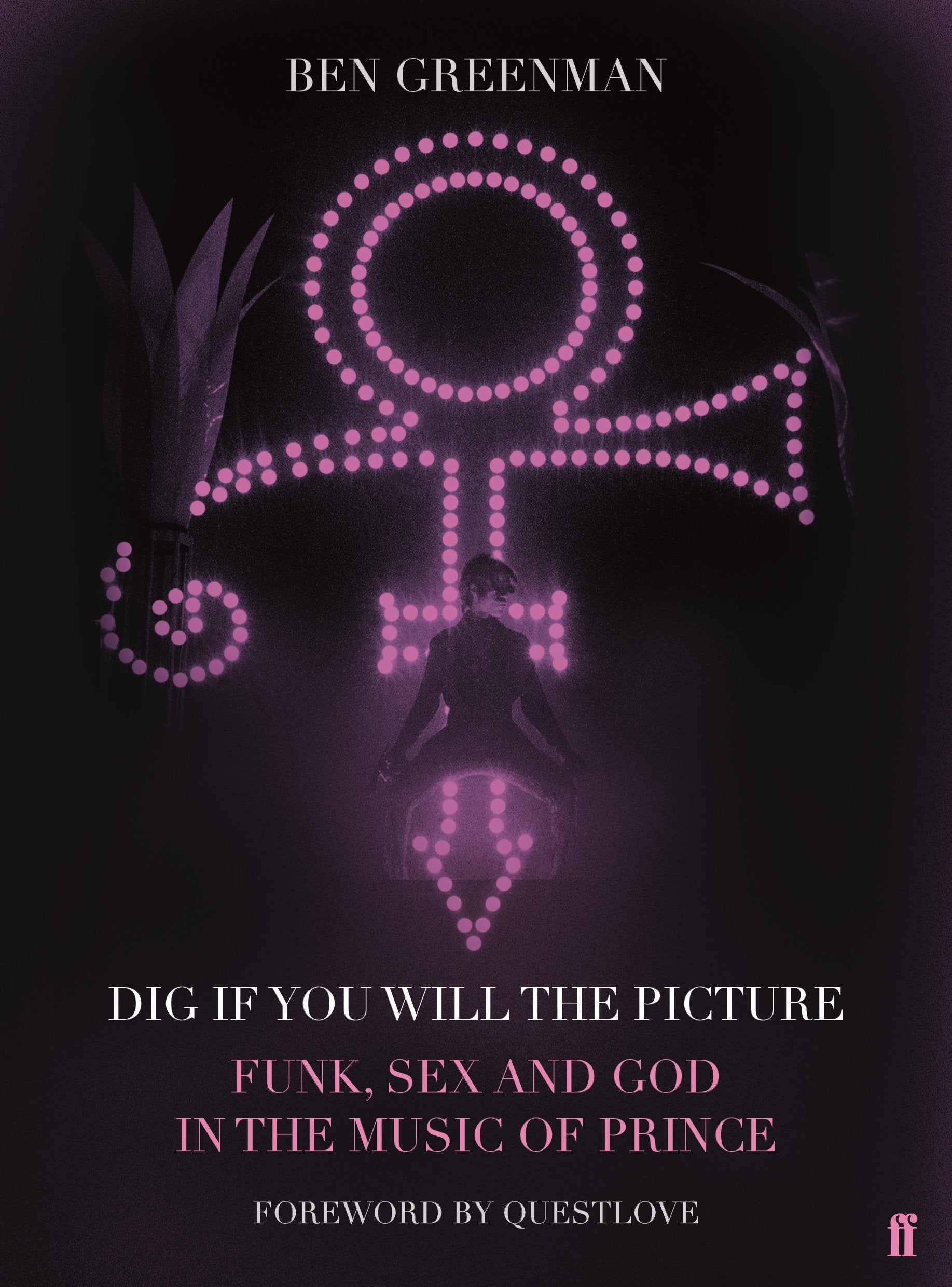 Dig If You Will The Picture: Funk, Sex and God in the Music of Prince Contemporary literature Books