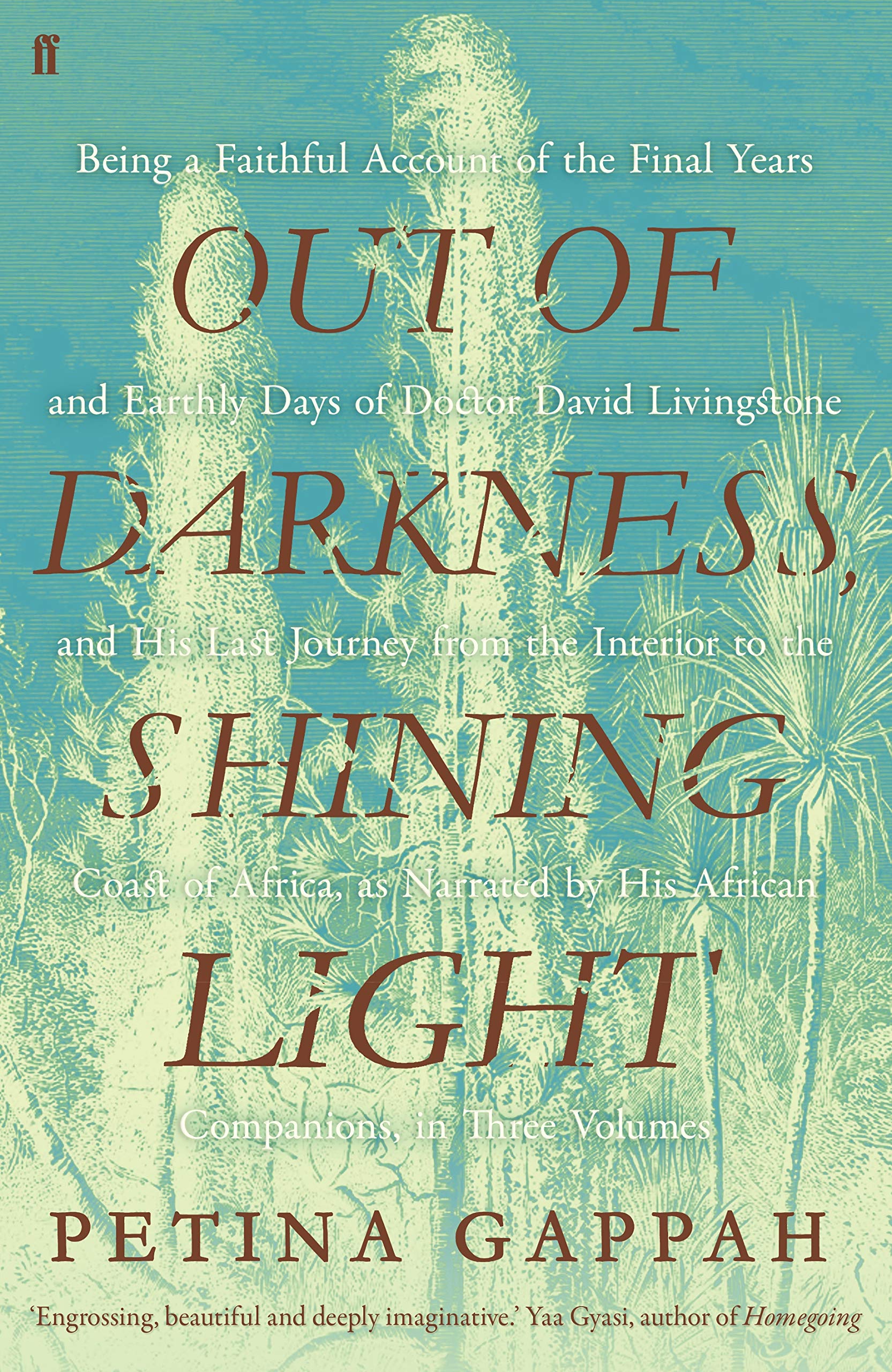 Out of Darkness, Shining Light book