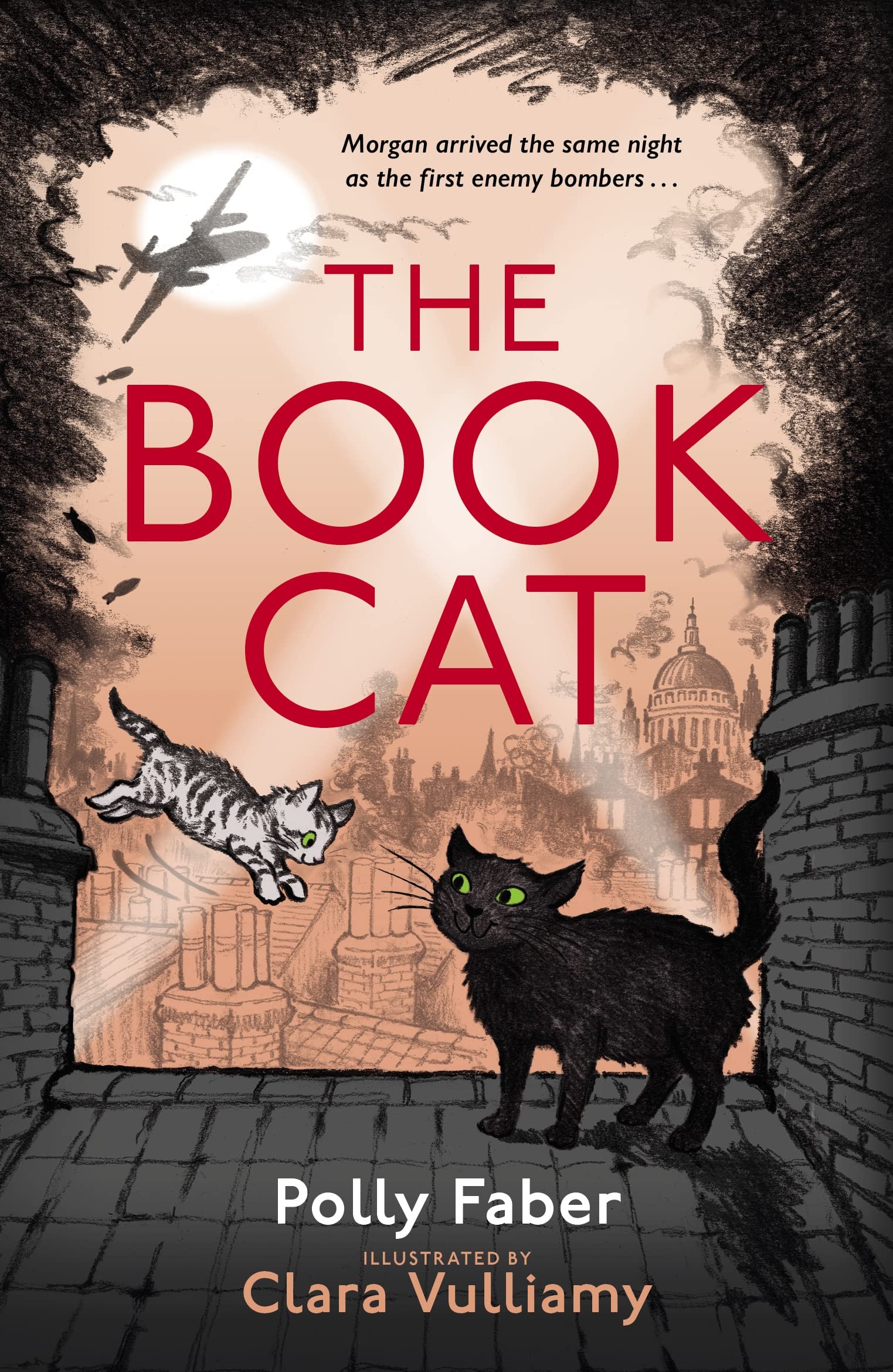 The Book Cat Novels & Short Stories for children