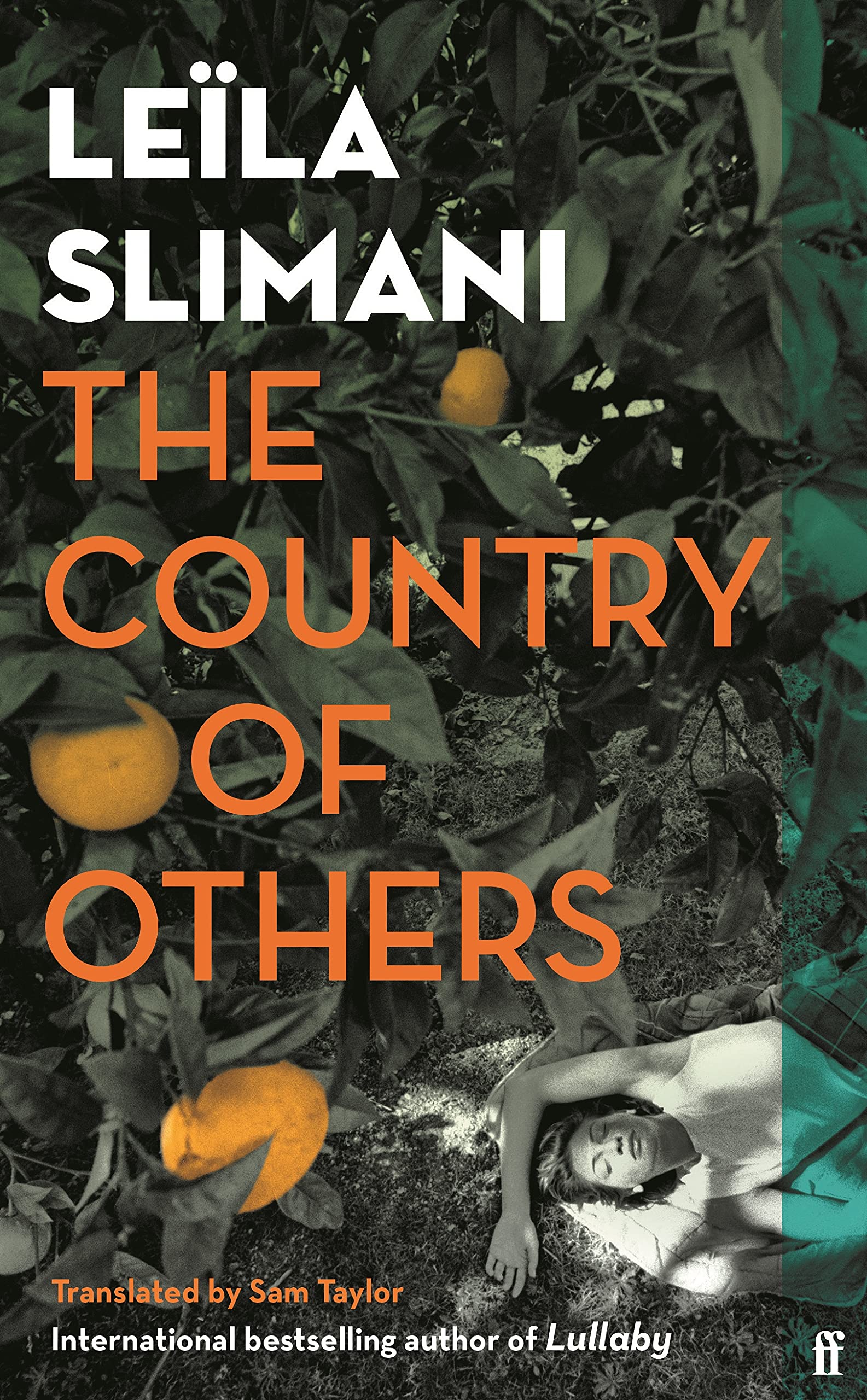 The Country of Others book