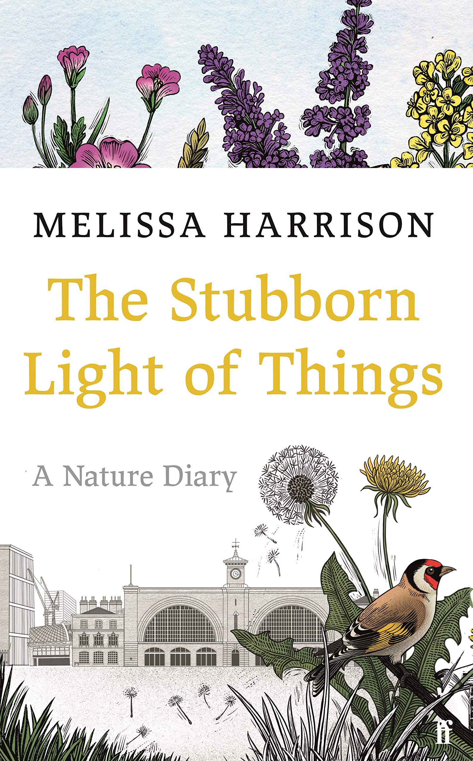 The Stubborn Light of Things: A Nature Diary Sports