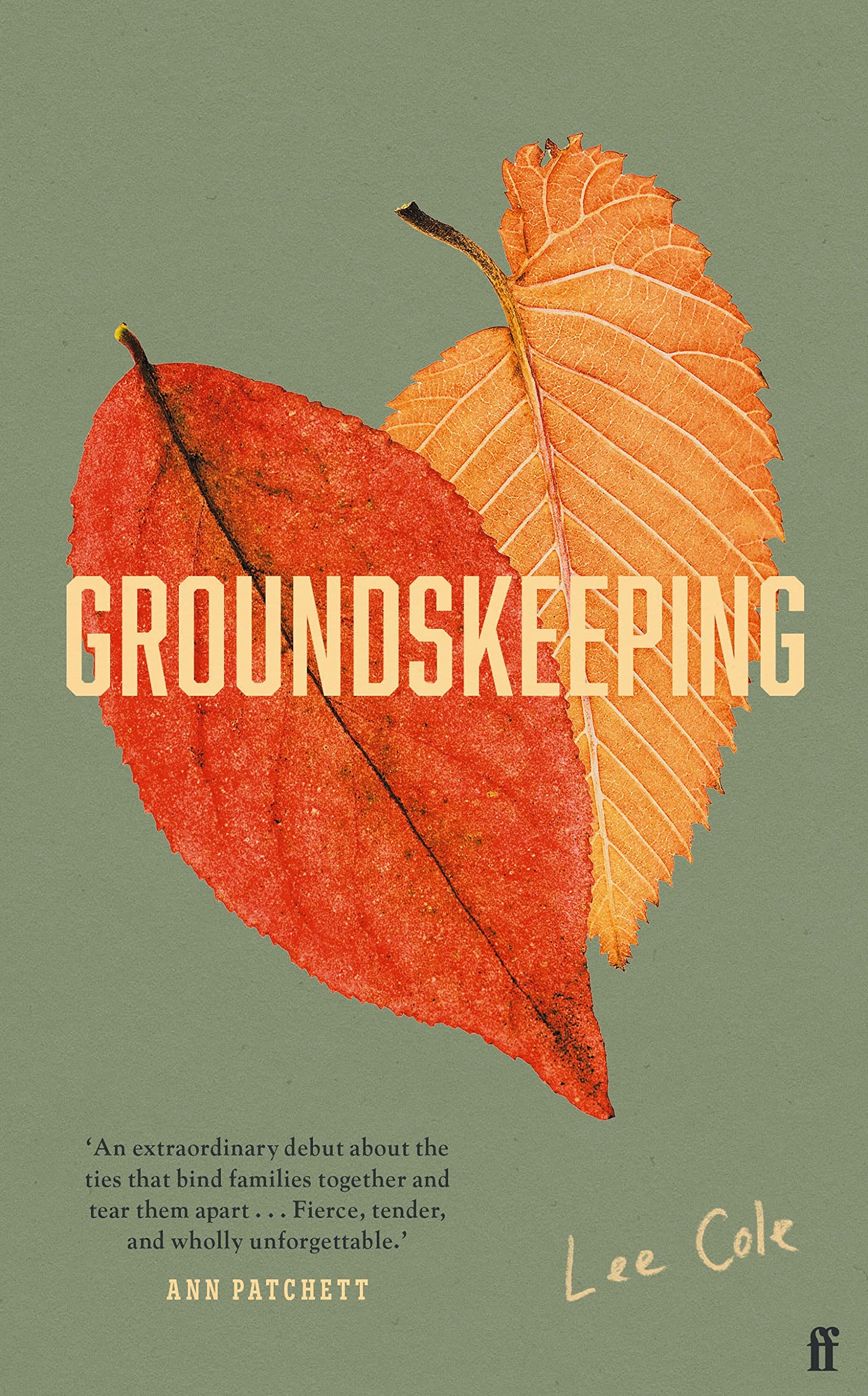 Groundskeeping: 'An extraordinary debut' ANN PATCHETT (Biogrpahical fiction) Contemporary literature