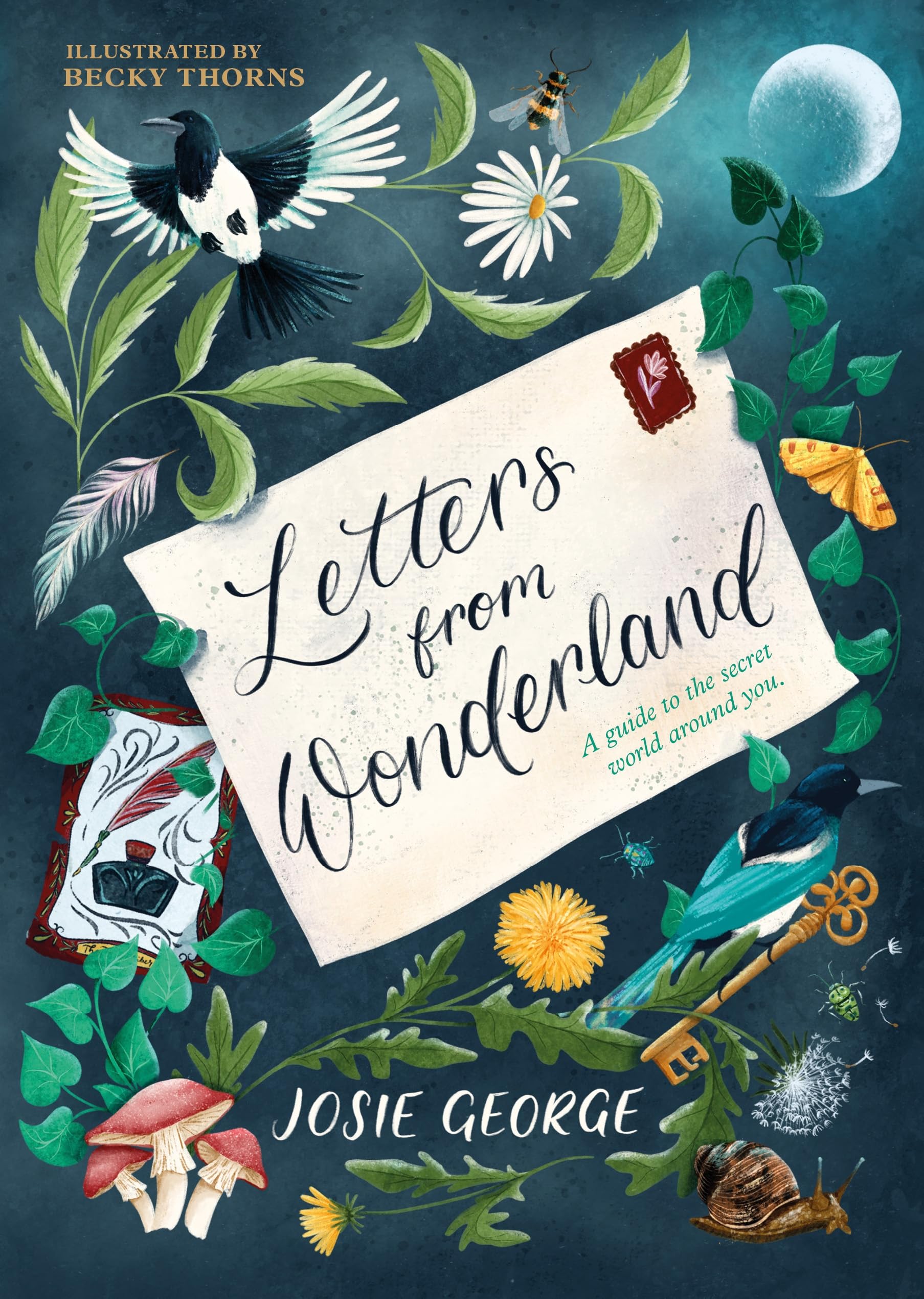 Letters from Wonderland: A Guide to the Secret World Around You Young adult books