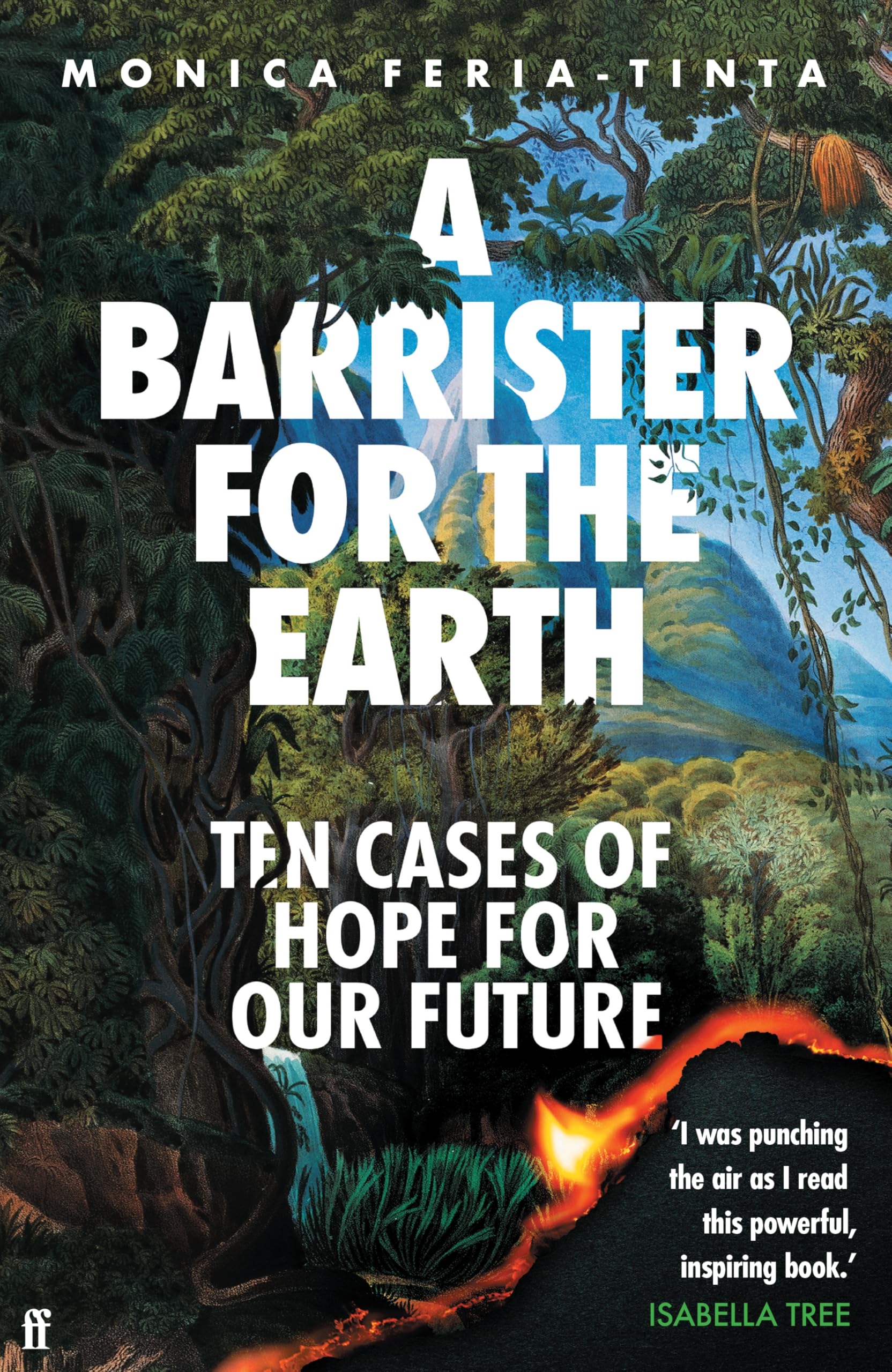 A Barrister for the Earth: Ten Cases of Hope for Our Future Law