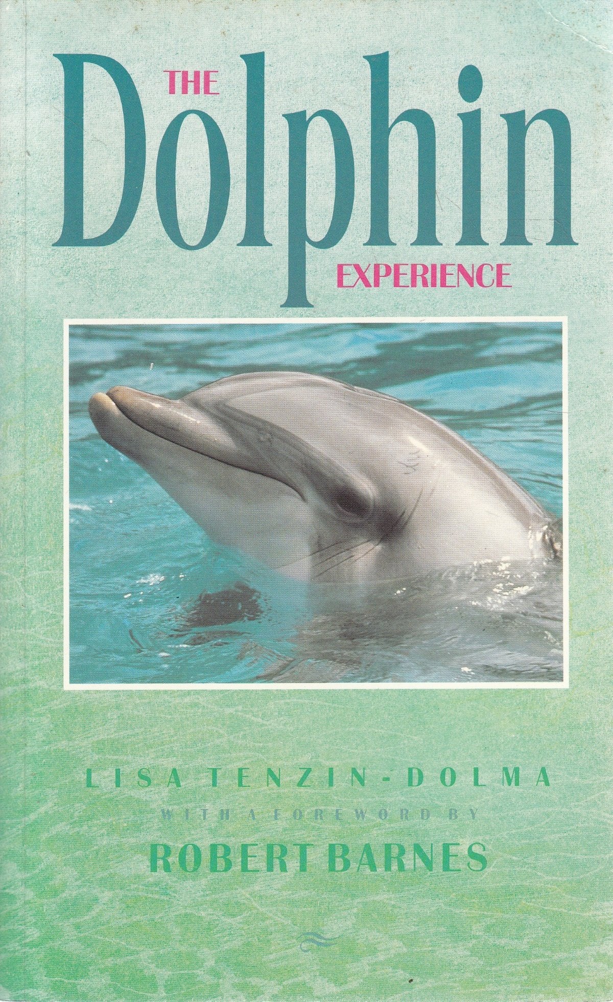 Product Image: The Dolphin Experience
