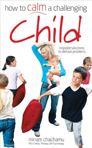 How to Calm a Challenging Child: Inspired Solutions to Defuse Your Problems book