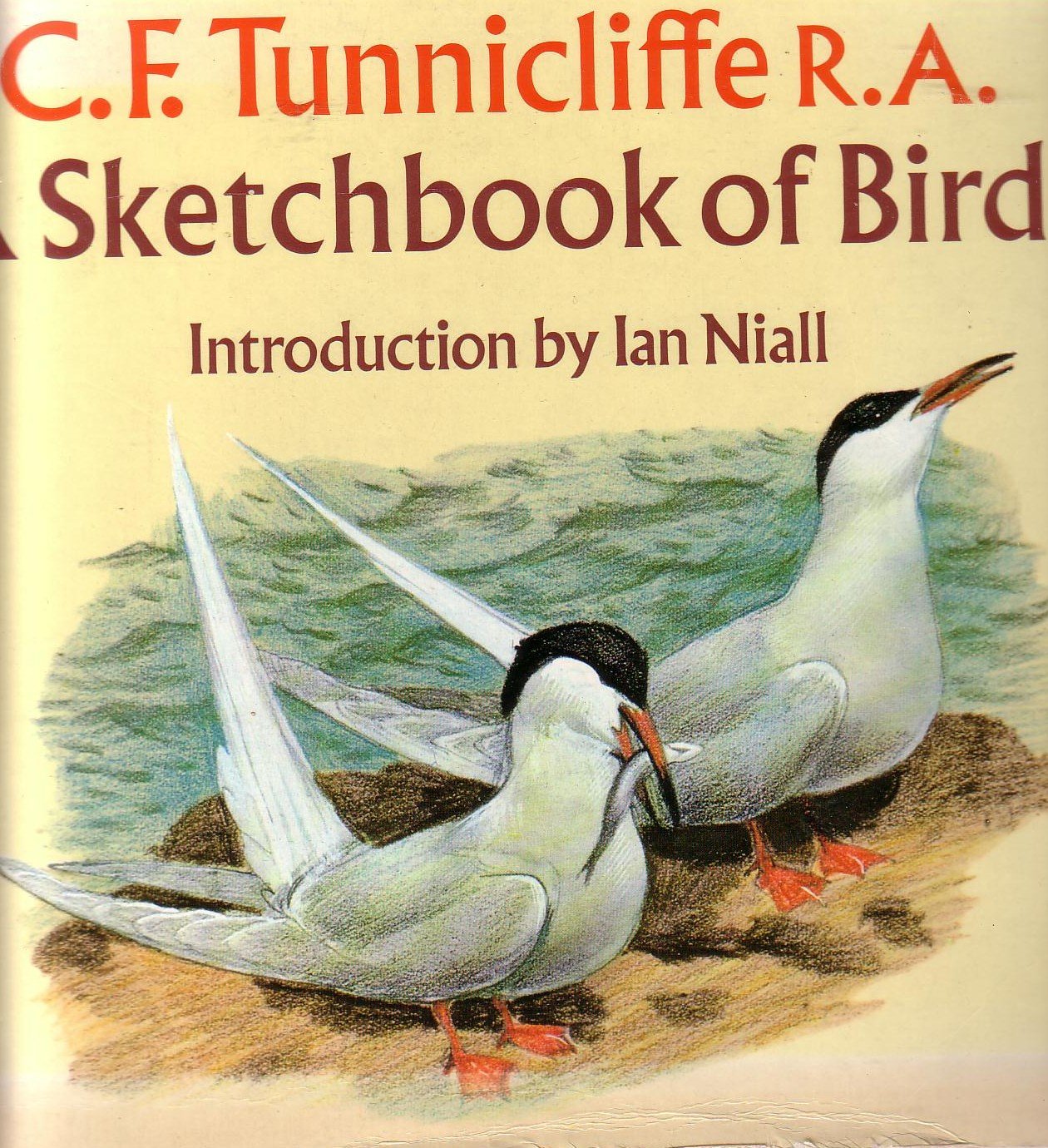 A Sketchbook of Birds Mathematics