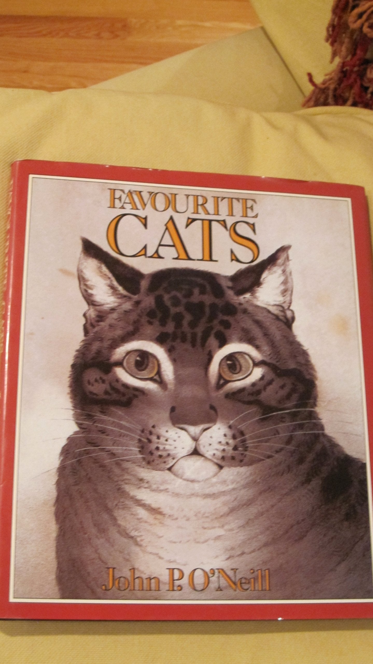 Favourite Cats Film, Art & Culture