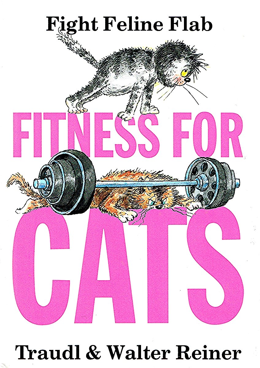 Fitness for Cats Film, Art & Culture