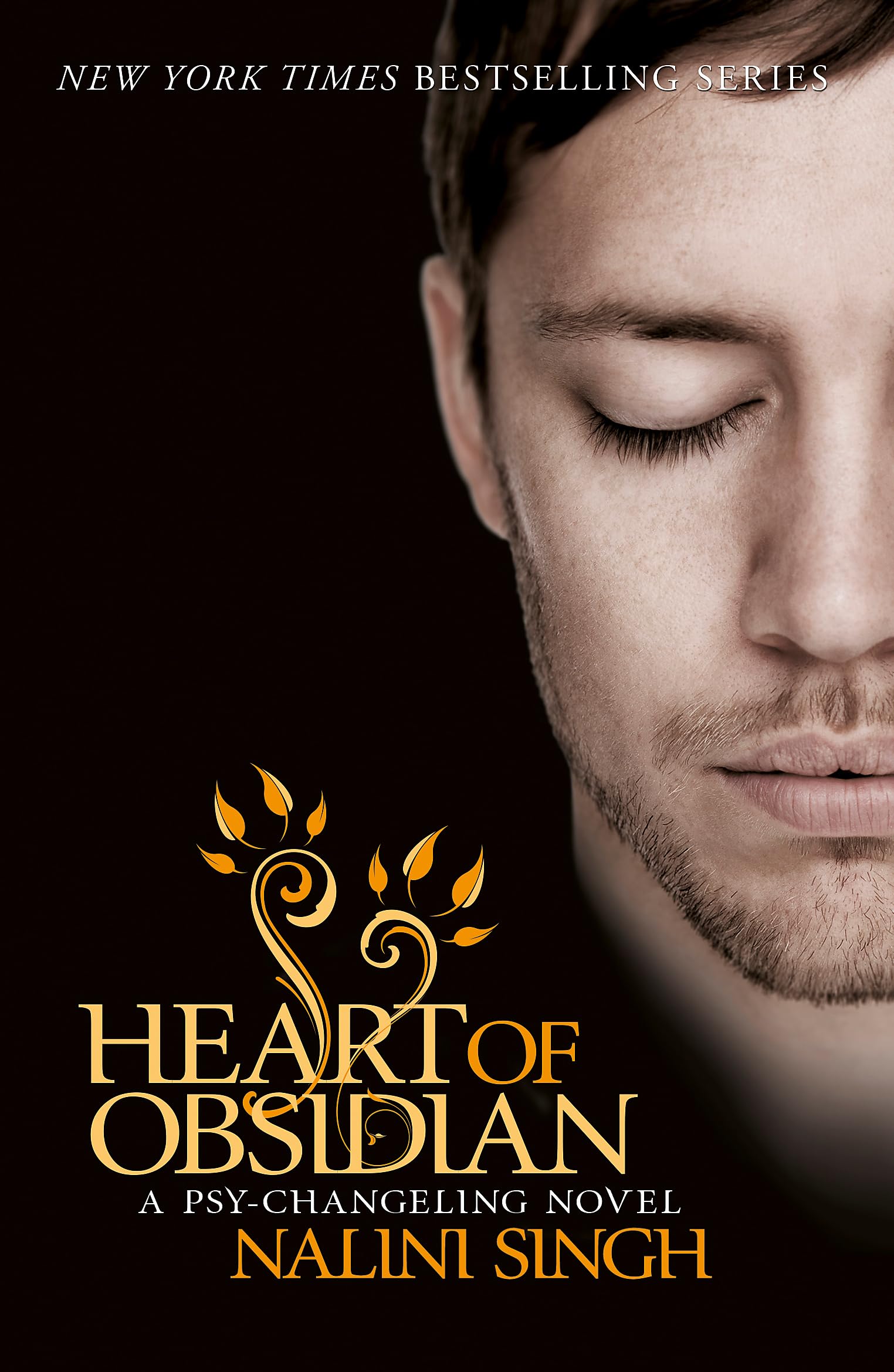 Heart of Obsidian: Book 12 book