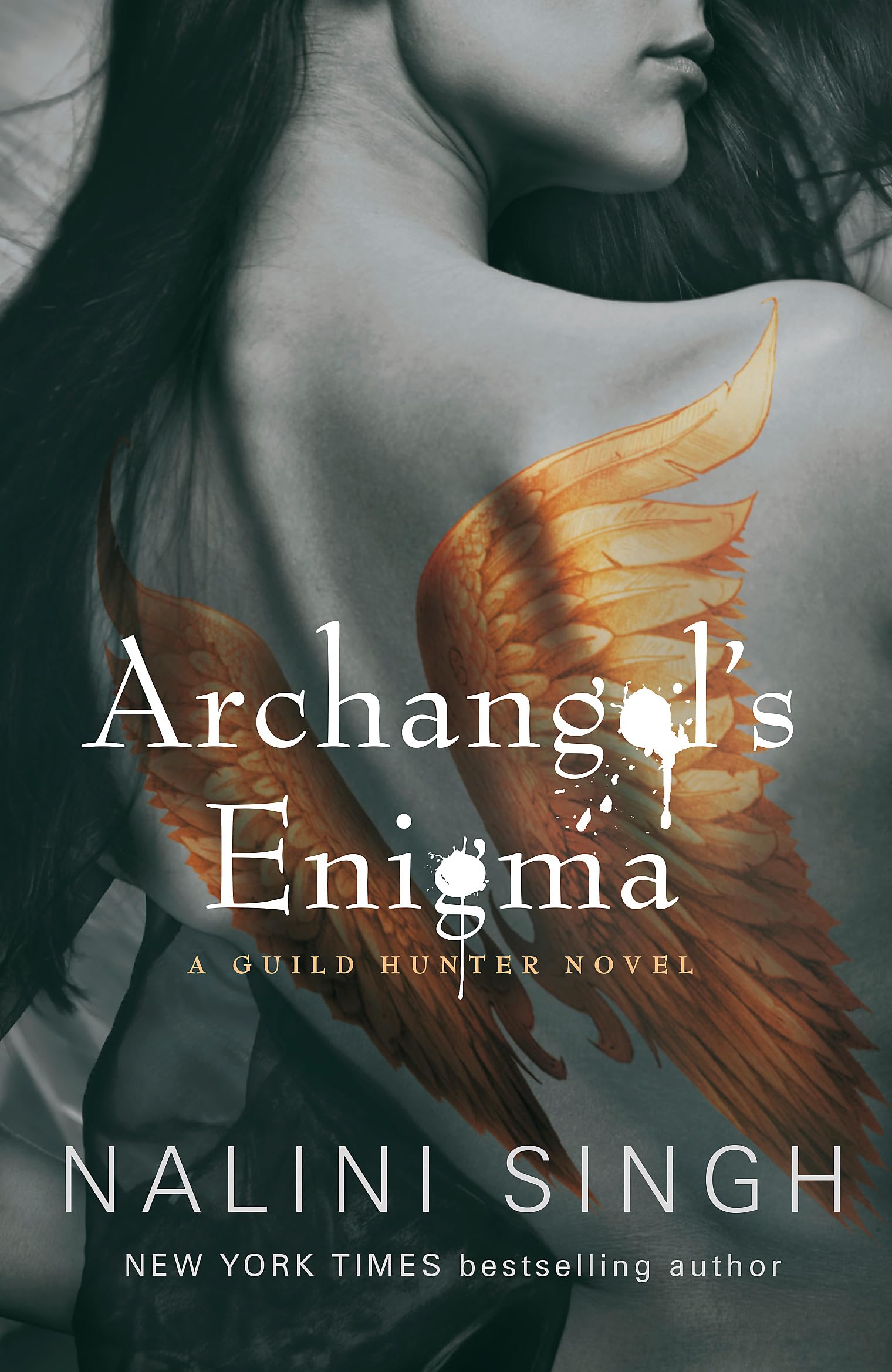 Archangel's Enigma: Book 8 (The Guild Hunter Series) Eroticism