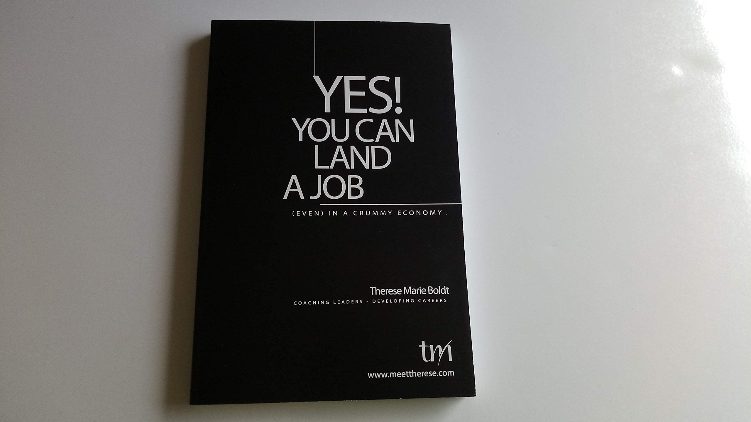 Yes! You Can Land A Job (Even) In A Crummy Economy Books