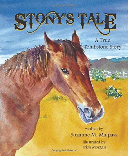 Stony's Tale: A True Tombstone Story book