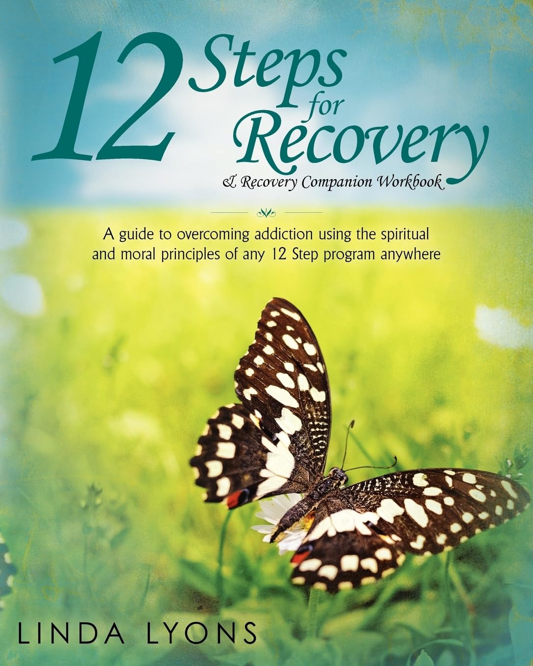 12 Steps for Recovery & Recovery Companion Workbook: A guide to overcoming addiction using the spiritual and moral principles of any 12 steps program anywhere Health, Nutrition & Fitness