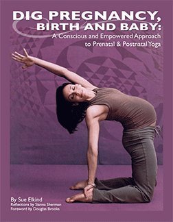 Dig Pregnancy, Birth, & Baby: A Conscious & Empowered Approach to Prenatal & Postnatal Yoga Lifestyle