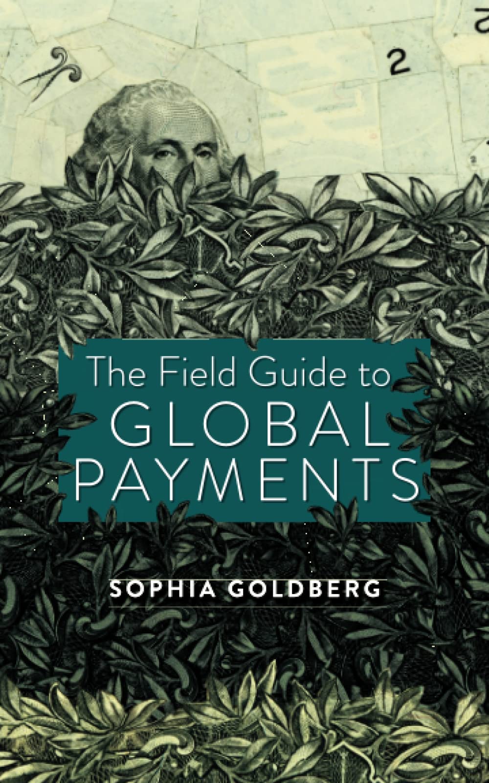 The Field Guide to Global Payments Business, Finance & Career