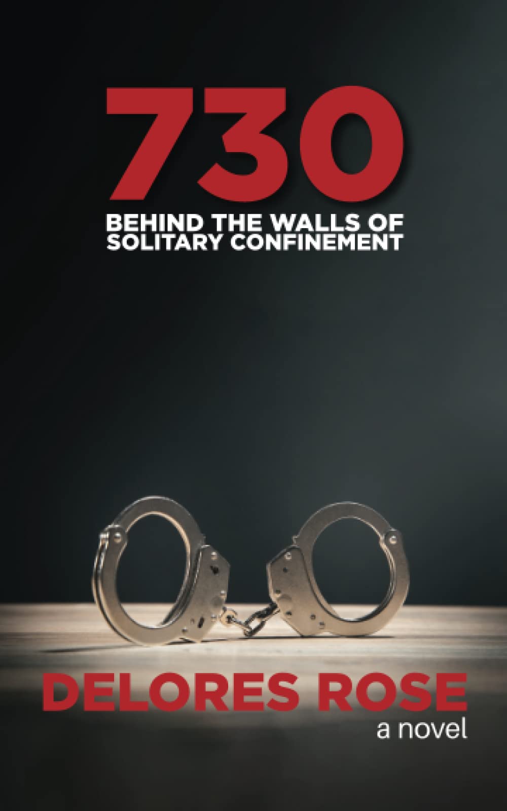 730: Behind the Walls of Solitary Confinement Contemporary literature