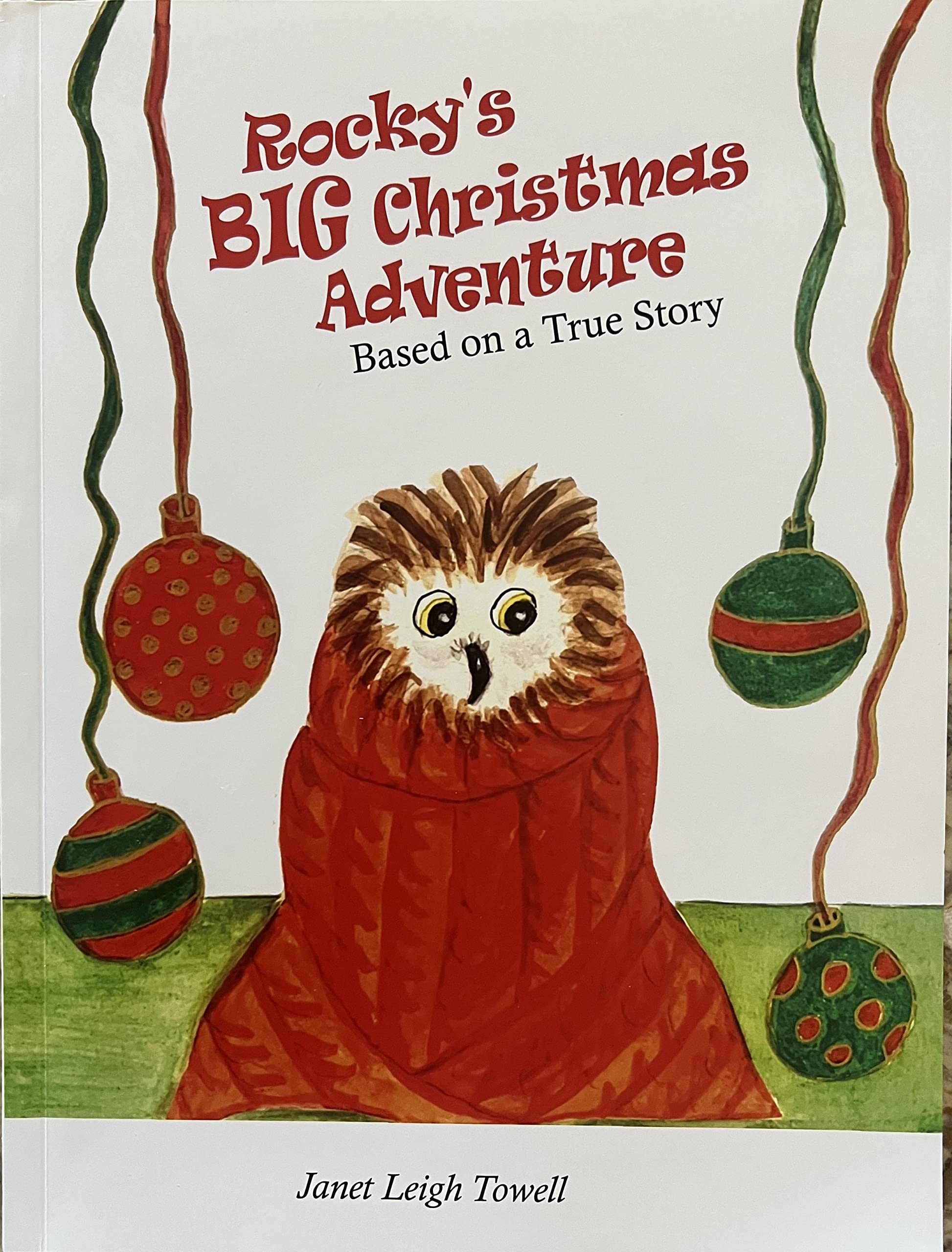 Rocky's Big Christmas Adventure Books