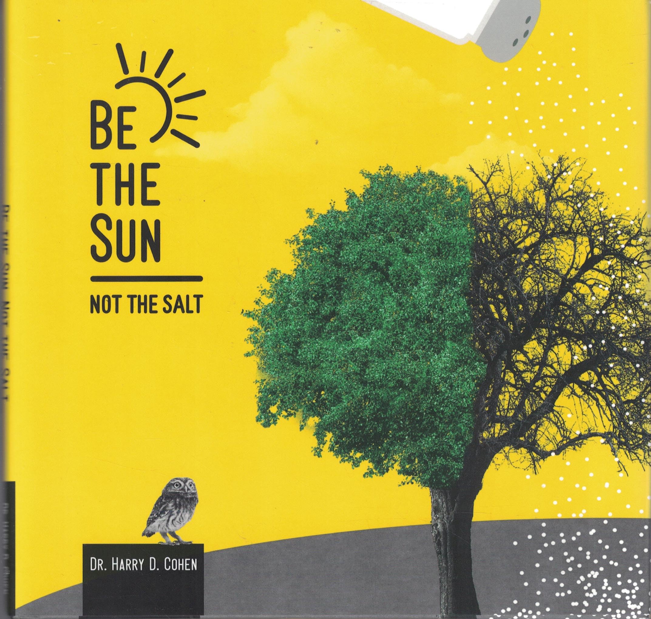 Be the Sun, Not the Salt book