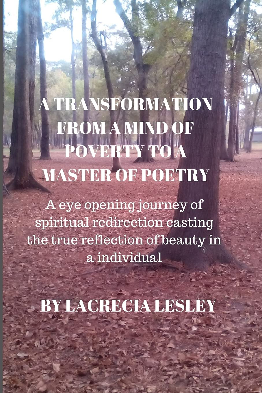 A TRANSFORMATION FROM A MIND OF POVERTY TO A MASTER OF POETRY: A eye opening journey of spiritual redirection casting the true reflection of beauty in a individual Books