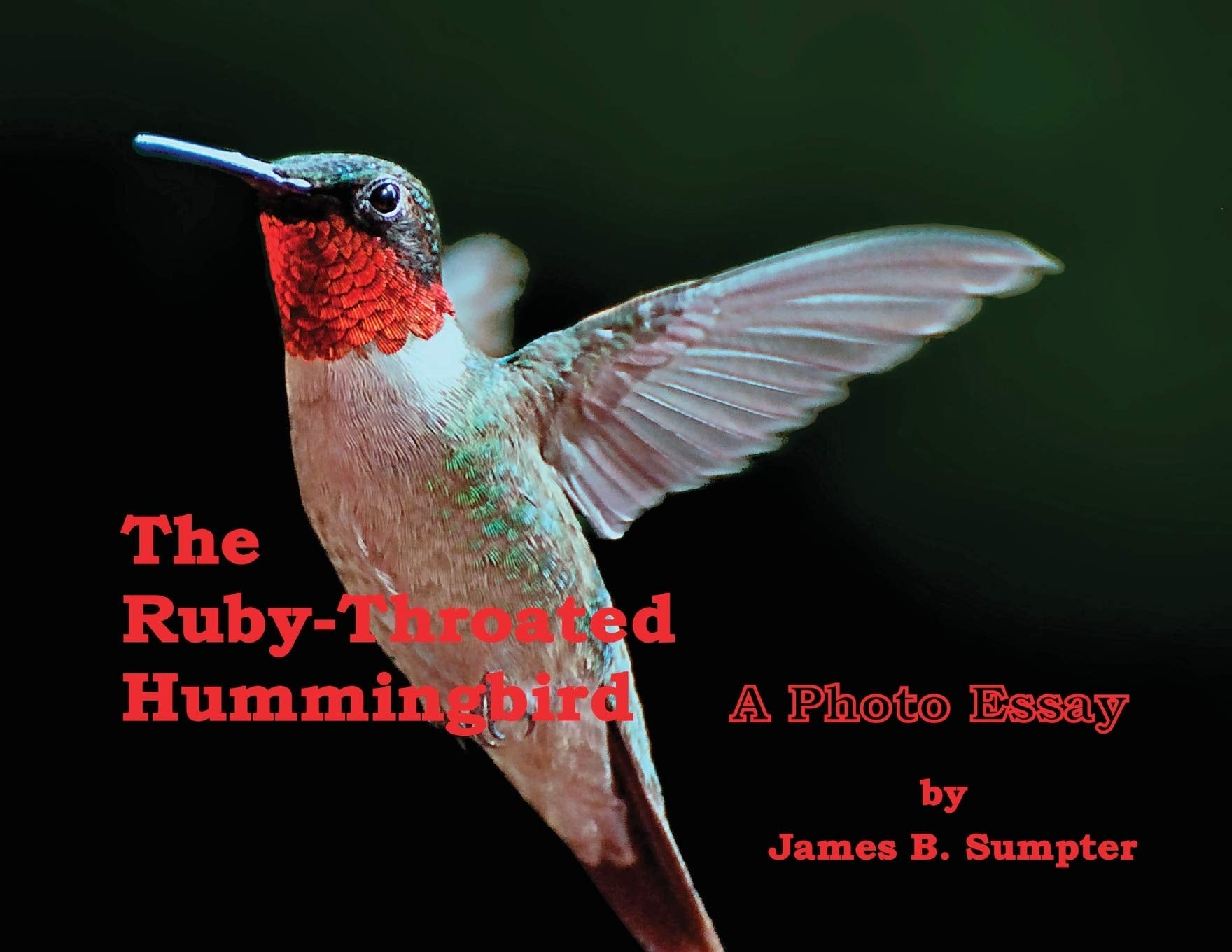 The Ruby-throated Hummingbird: A Photo Essay Mathematics