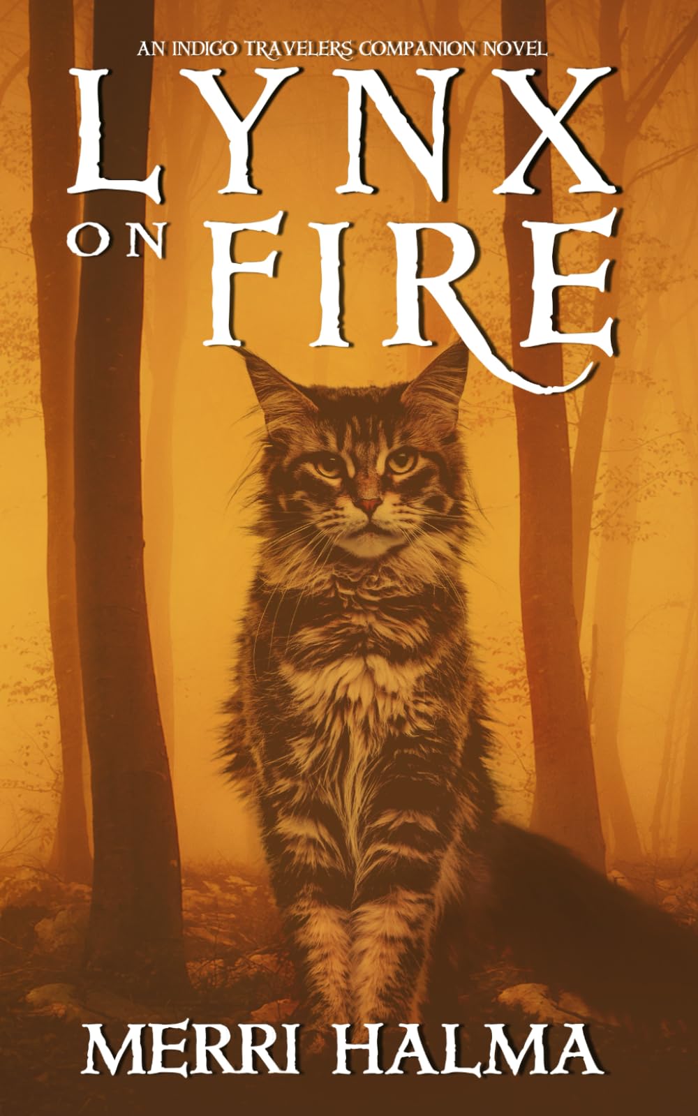 Lynx on Fire: An Indigo Traveler's Companion Novel (Indigo Traveler Series) Contemporary literature