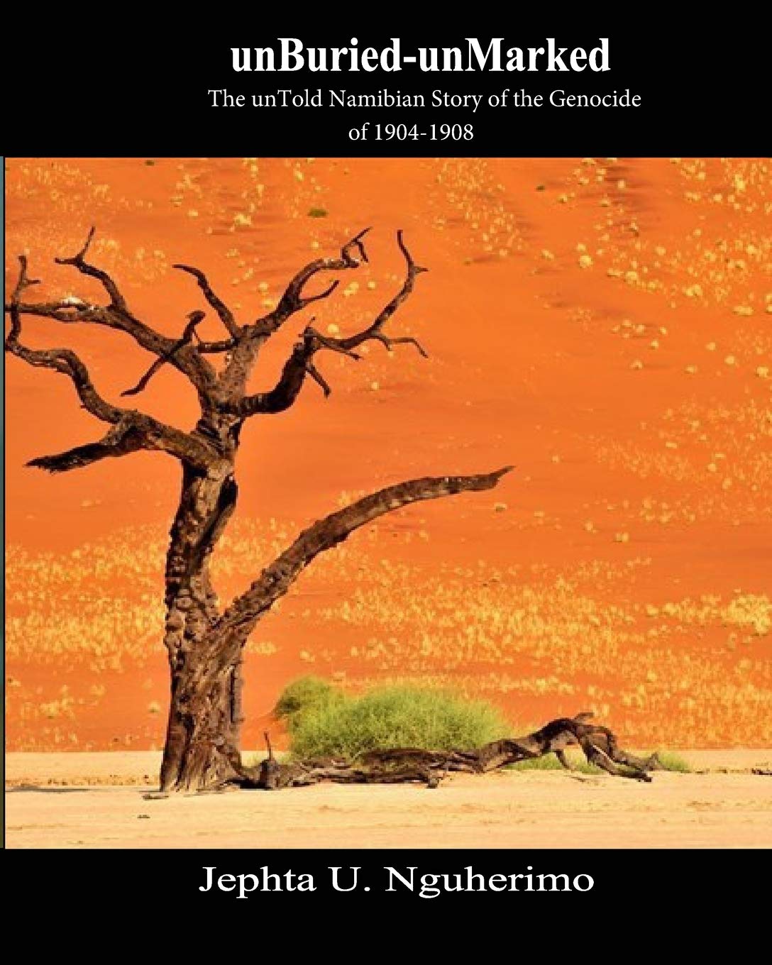 unBuried-unMarked:The unTold Namibian Story of the Genocide of 1904-1908: Pieces and Pains of the Struggle for Justice Poetry