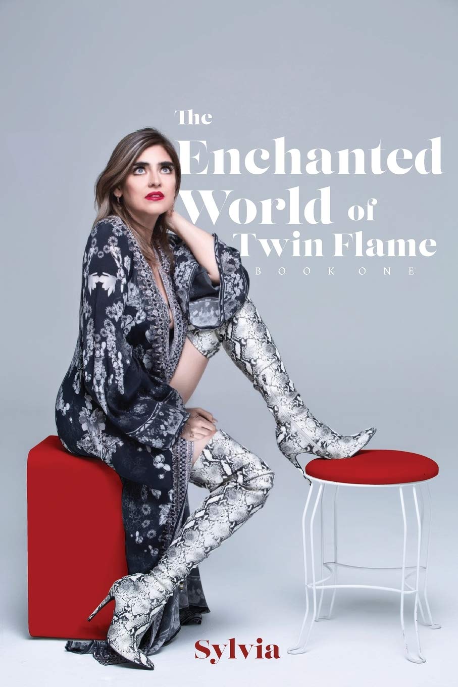The Enchanted World of Twin Flame: Book One Partnership & Love